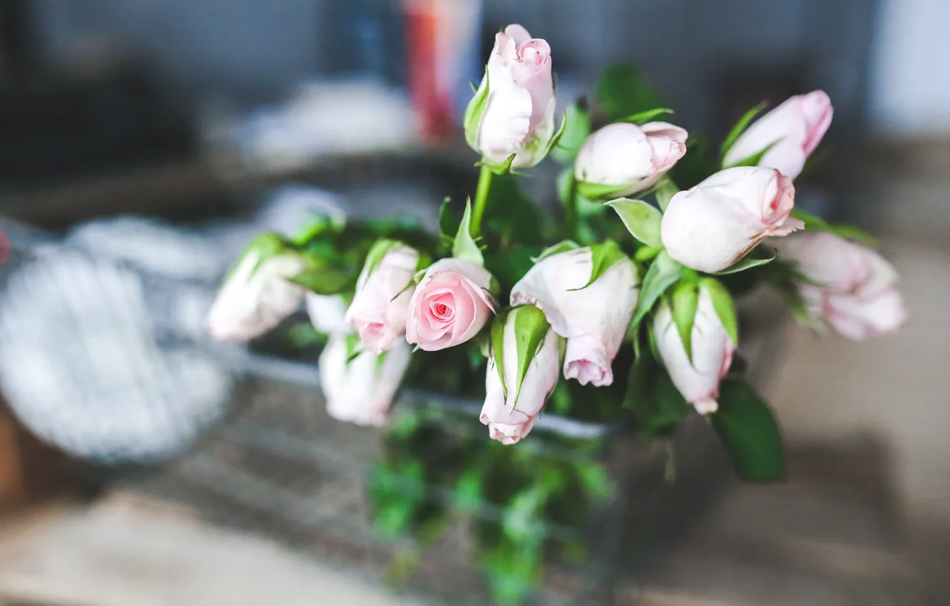 Фото обои цветы, розы, букет, нежные