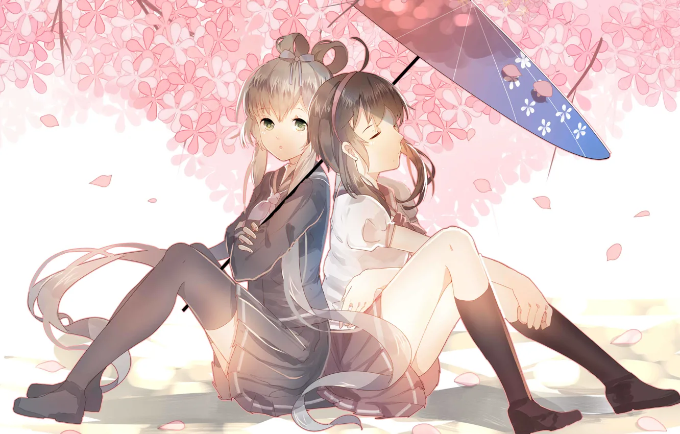 Фото обои цветы, девушки, зонт, аниме, сакура, арт, vocaloid, школьницы