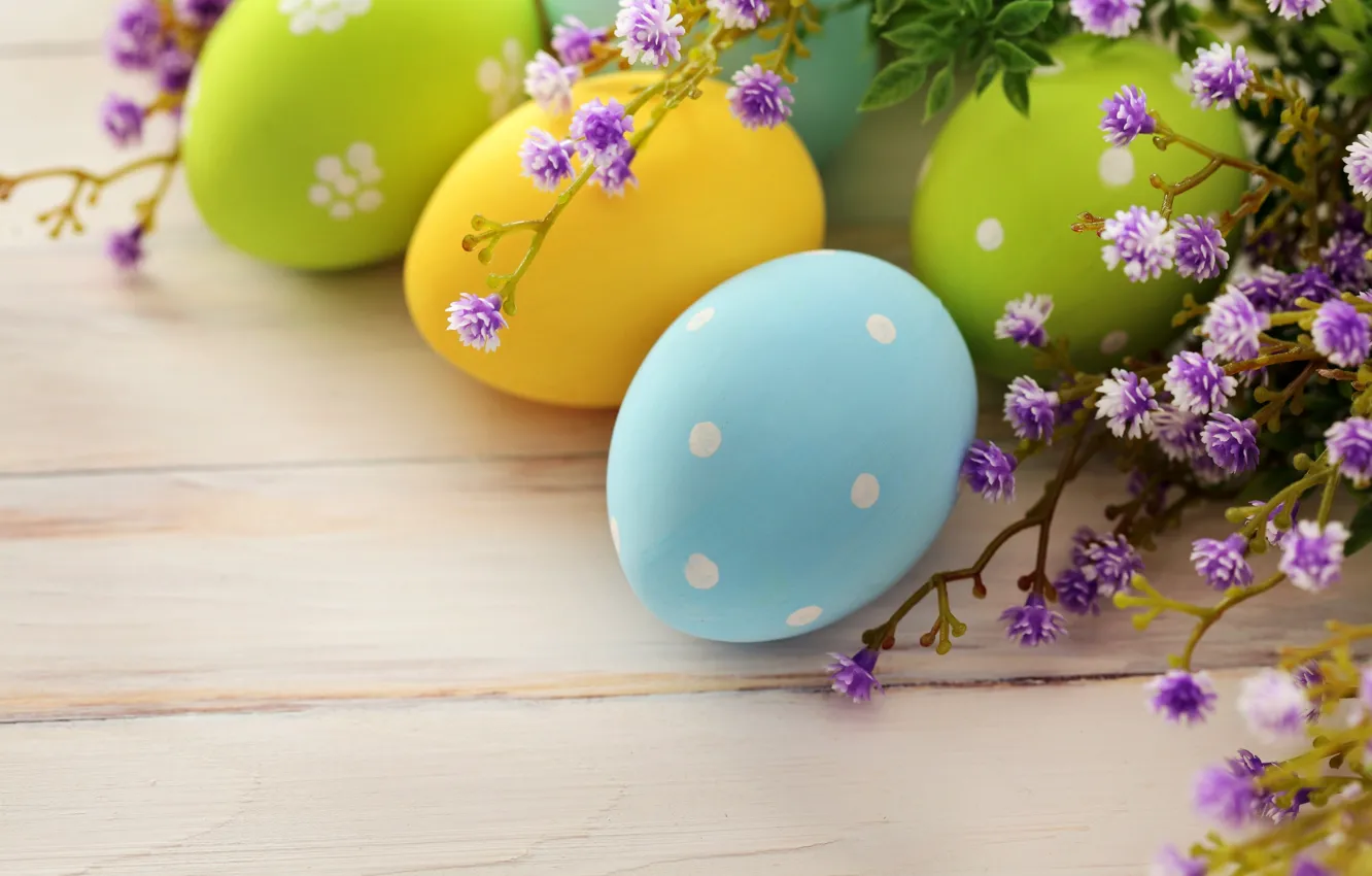 Фото обои цветы, праздник, яйца, ветка, весна, Пасха, Easter, пасхальные