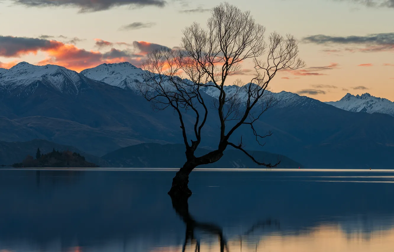 Фото обои горы, озеро, отражение, дерево, берег, Новая Зеландия, сумерки, водоем