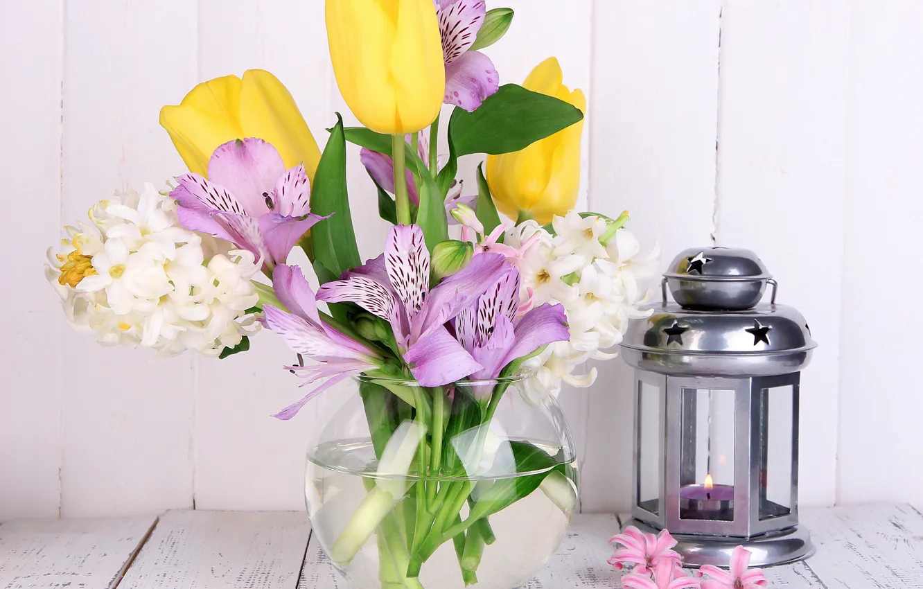 Фото обои цветы, лепестки, тюльпаны, натюрморт