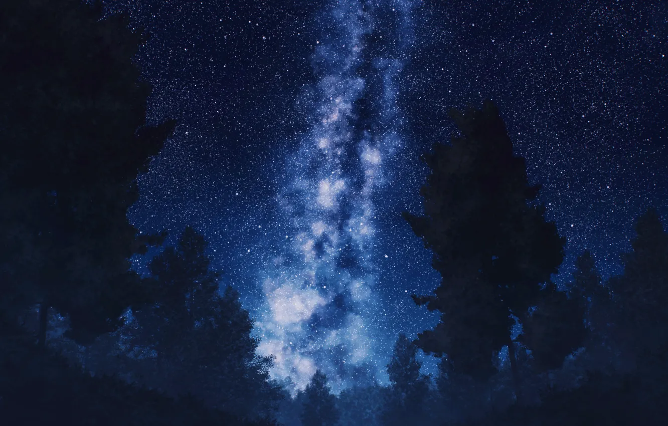 Фото обои небо, деревья, ночь, млечный путь