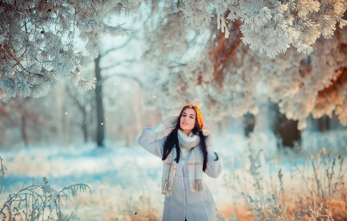 Фото обои зима, иней, лес, взгляд, девушка, свет, снег, деревья