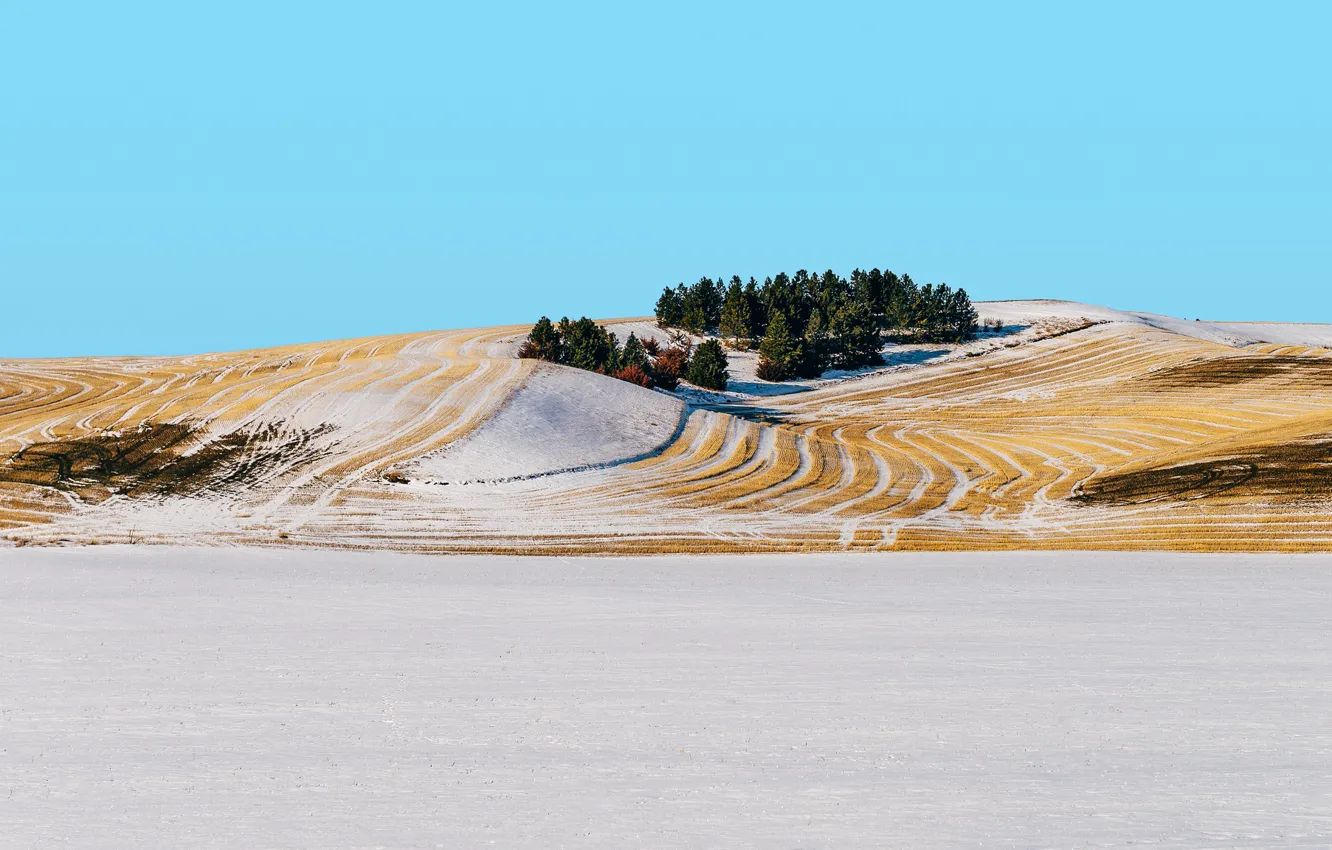 Фото обои trees, winter, snow, hill, countryside, farmland