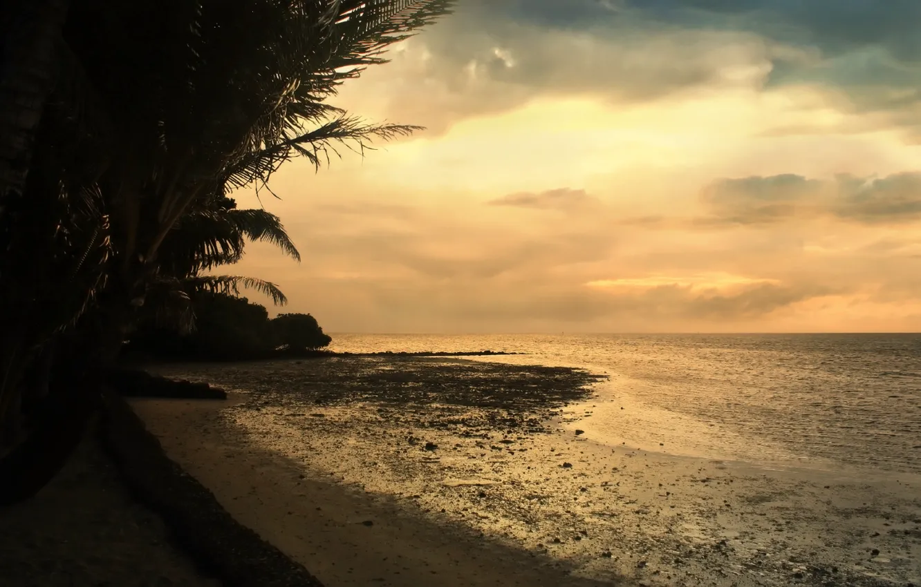 Фото обои песок, пальмы, Море