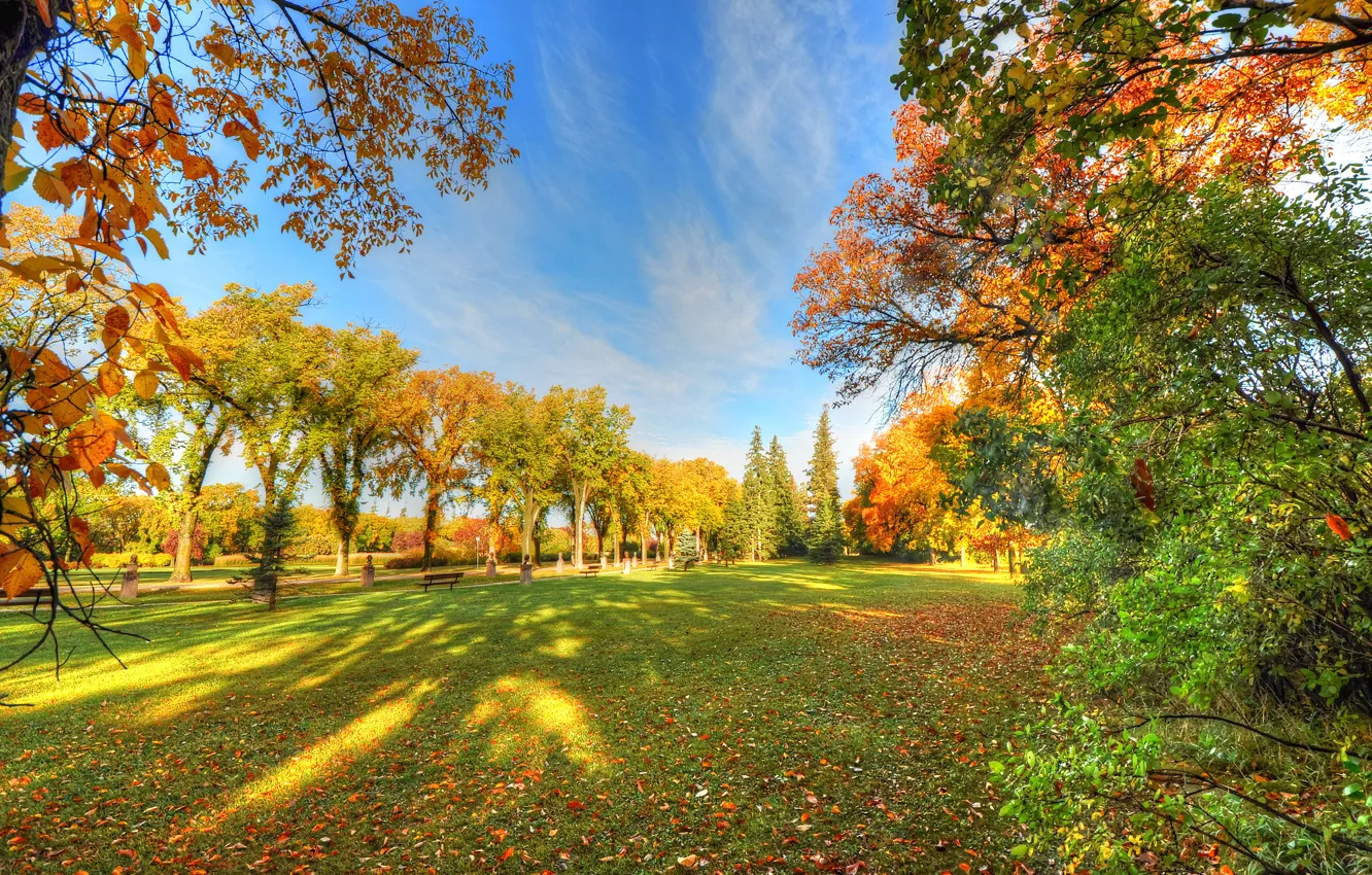 Фото обои осень, небо, трава, деревья, парк, тень, скамья