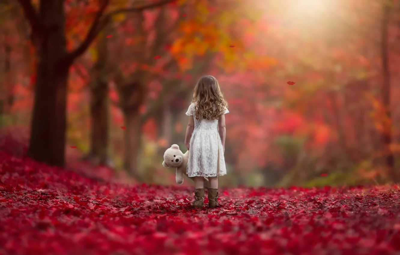 Фото обои осень, листья, игрушка, девочка, Never Alone