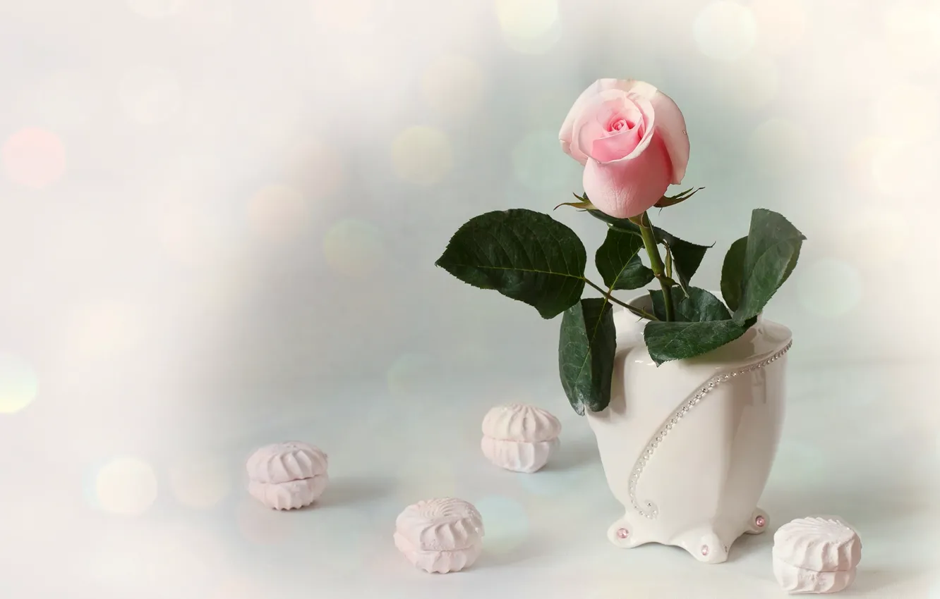 Фото обои розовый, роза, бутон, ваза, зефир