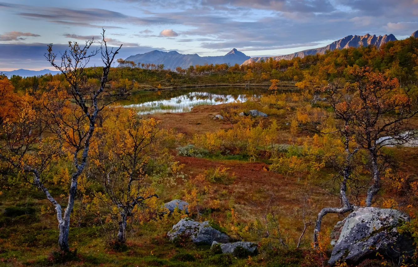 Фото обои осень, деревья, горы, озеро, Норвегия, Norway, Troms, Тромс