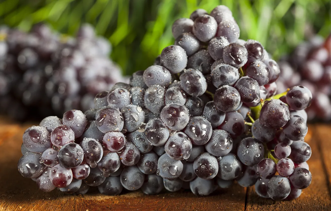 Фото обои капельки, виноград, гроздь
