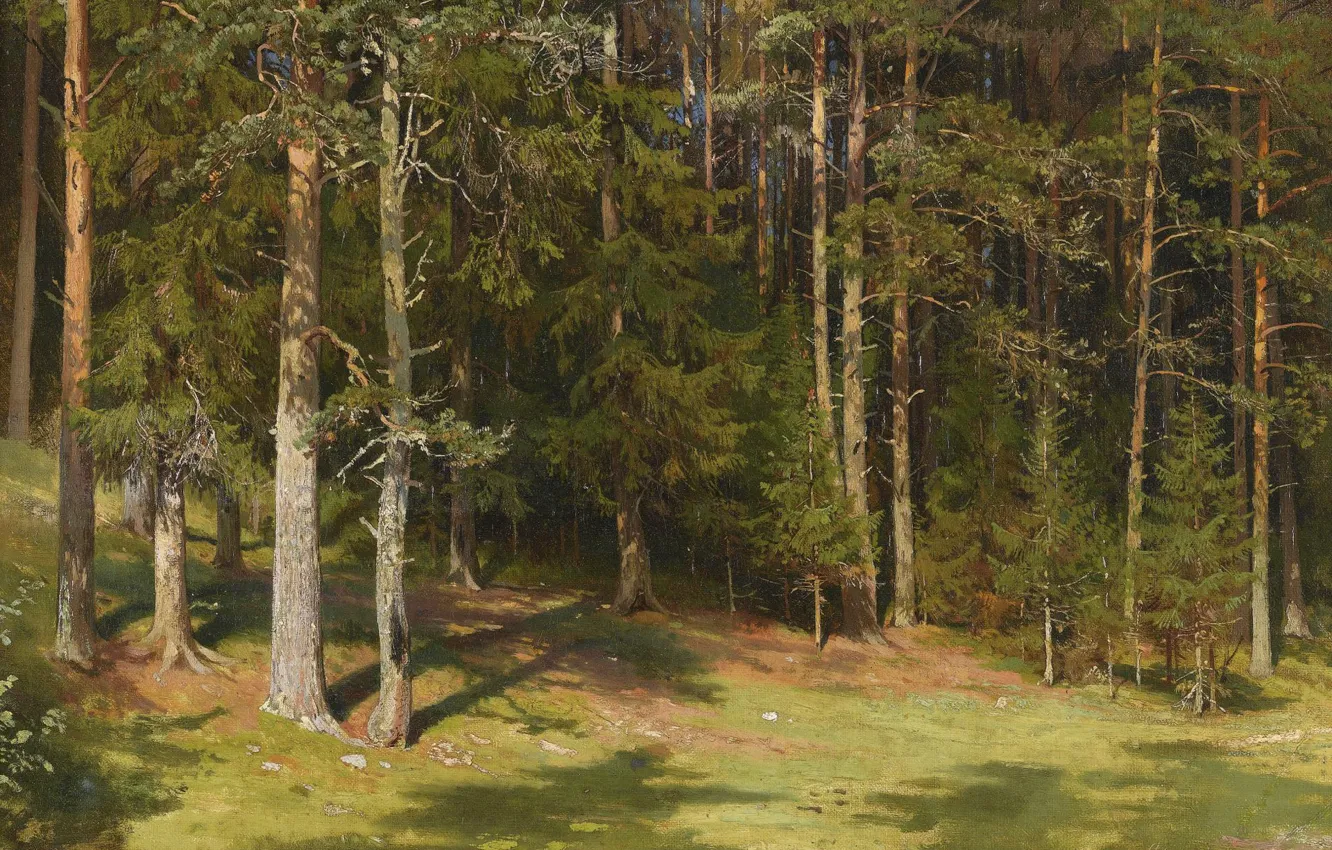 Фото обои лес, деревья, пейзаж, природа, картина, Иван Иванович Шишкин, Очистка