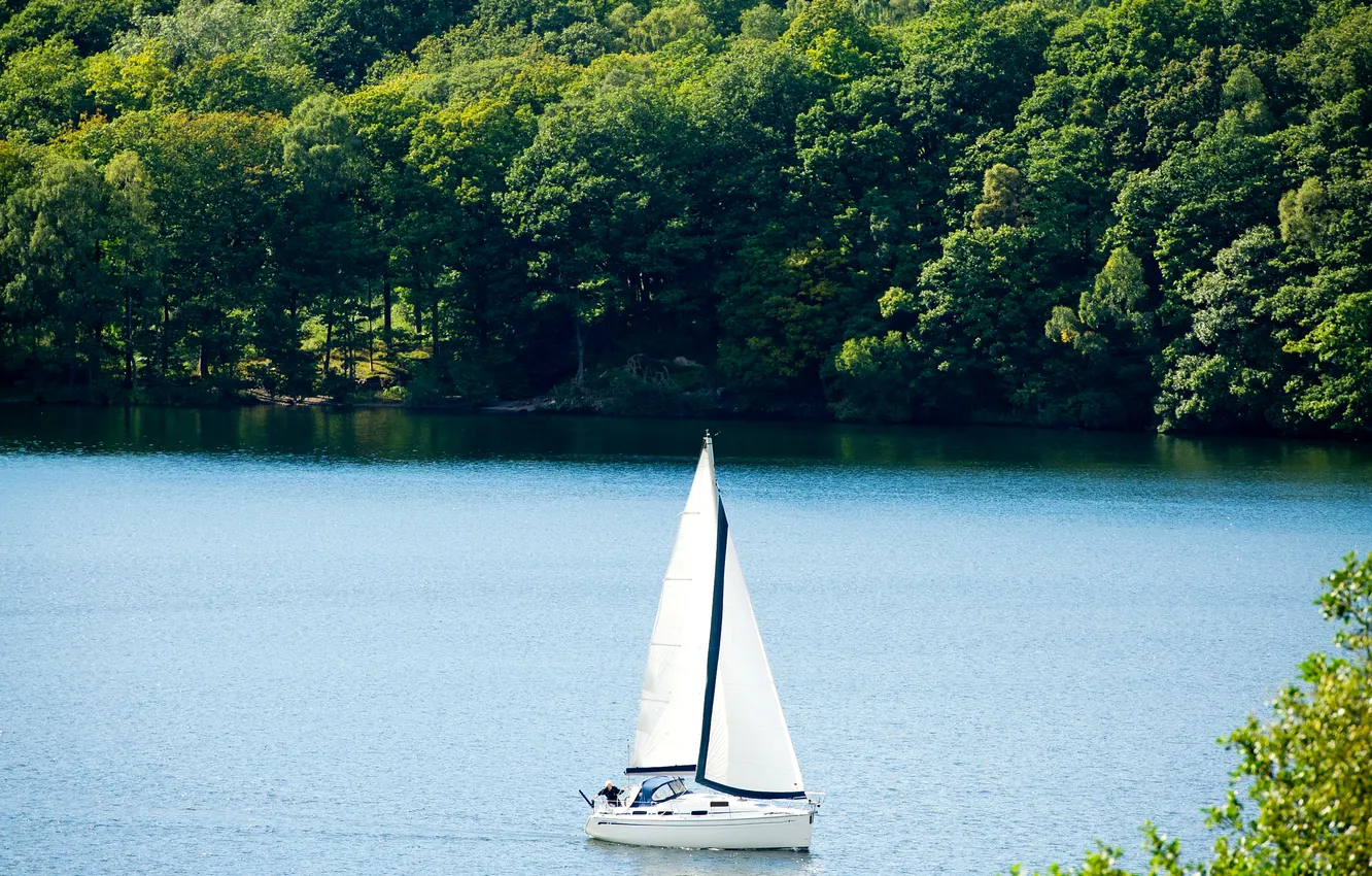 Фото обои лес, лето, деревья, река, лодка, яхта, парус