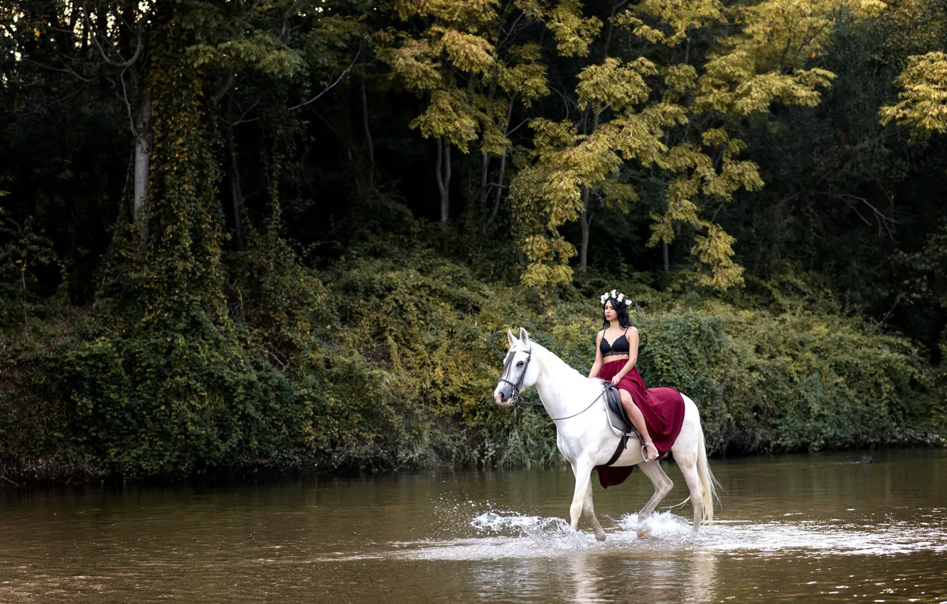 Фото обои девушка, река, конь, Beidy Franco