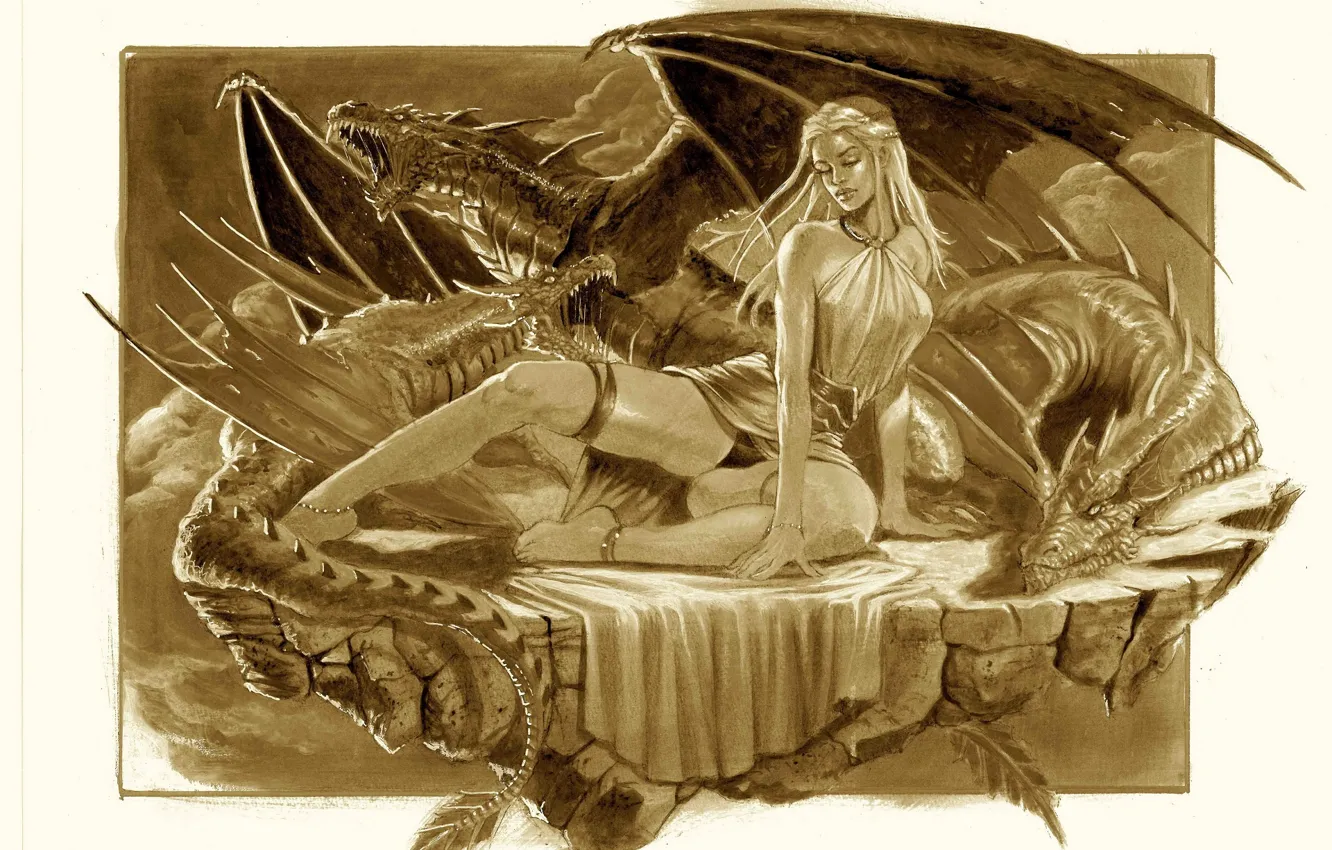 Фото обои девушка, драконы, защитники