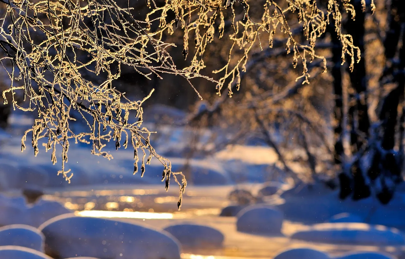 Фото обои зима, деревья, ветки, природа, река, сугробы, боке