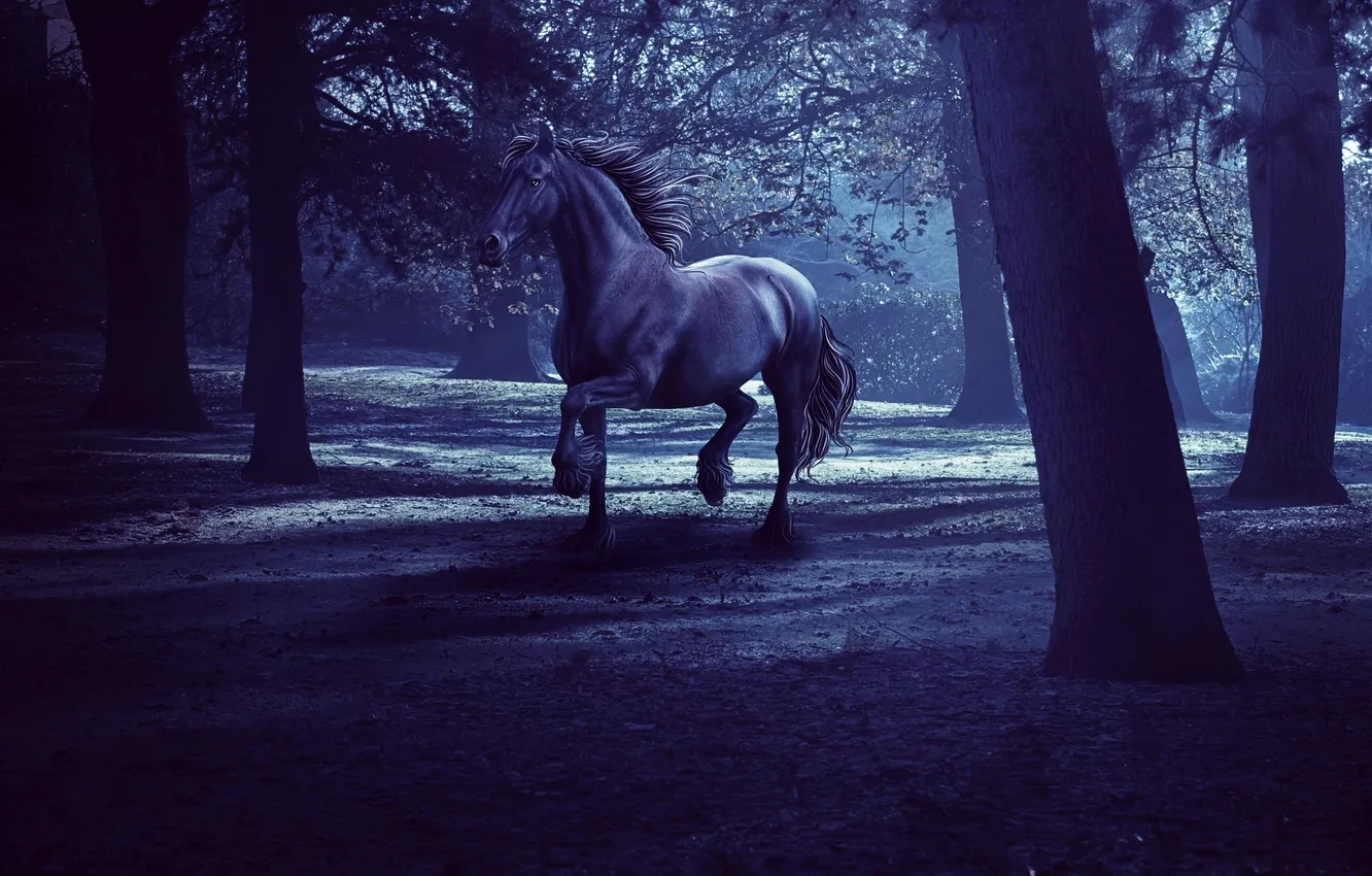Фото обои лес, деревья, ночь, темнота, рендеринг, конь, лошадь, сумерки