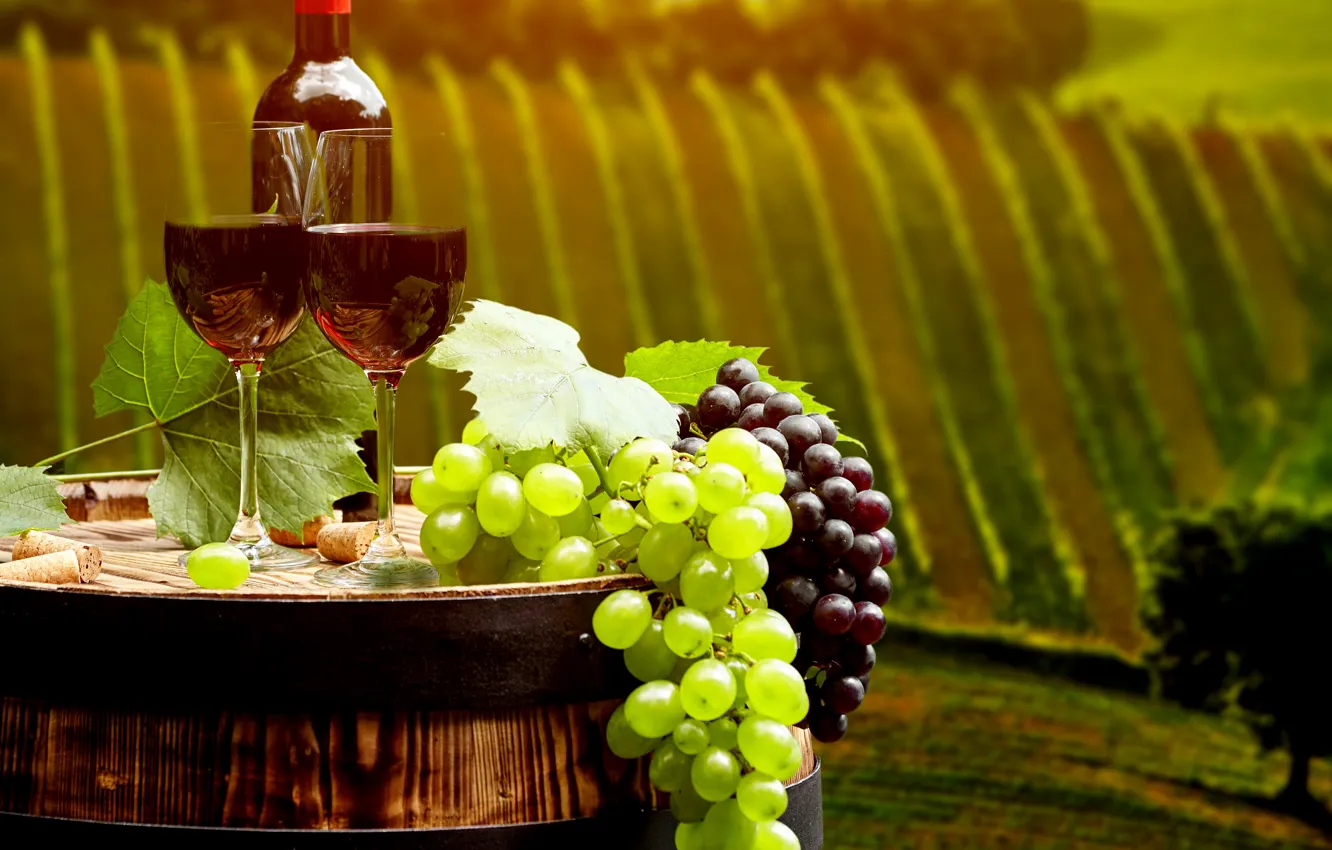 Фото обои листья, пейзаж, вино, красное, поля, бутылка, бокалы, виноград