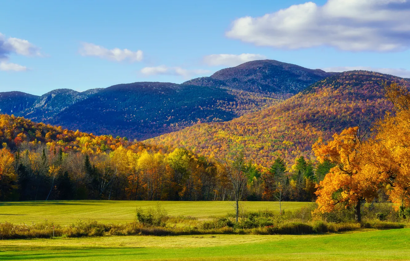 Фото обои поле, осень, лес, деревья, горы, холмы, листва, краски осени