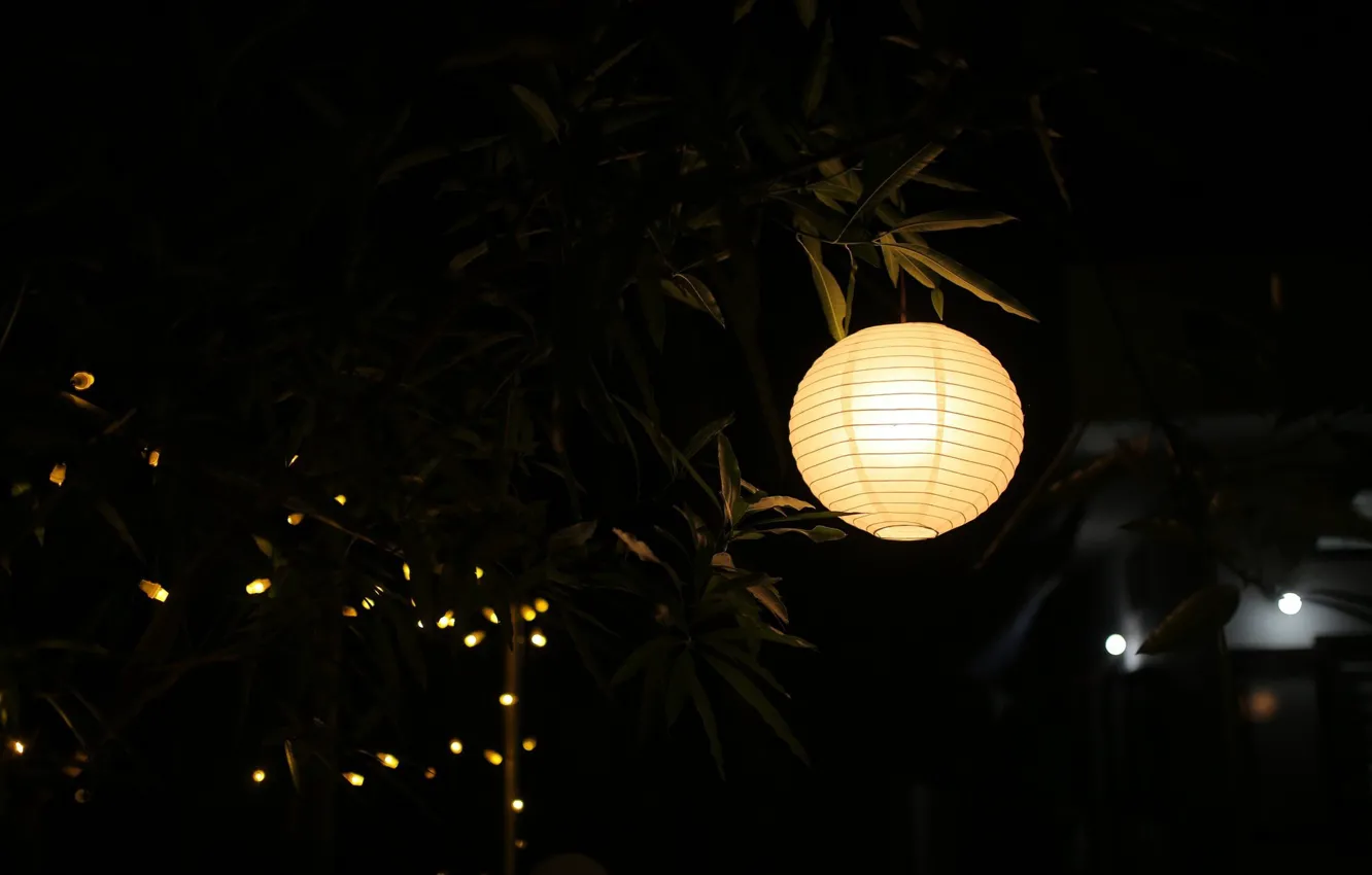 Фото обои Light, Lamp, Lantern