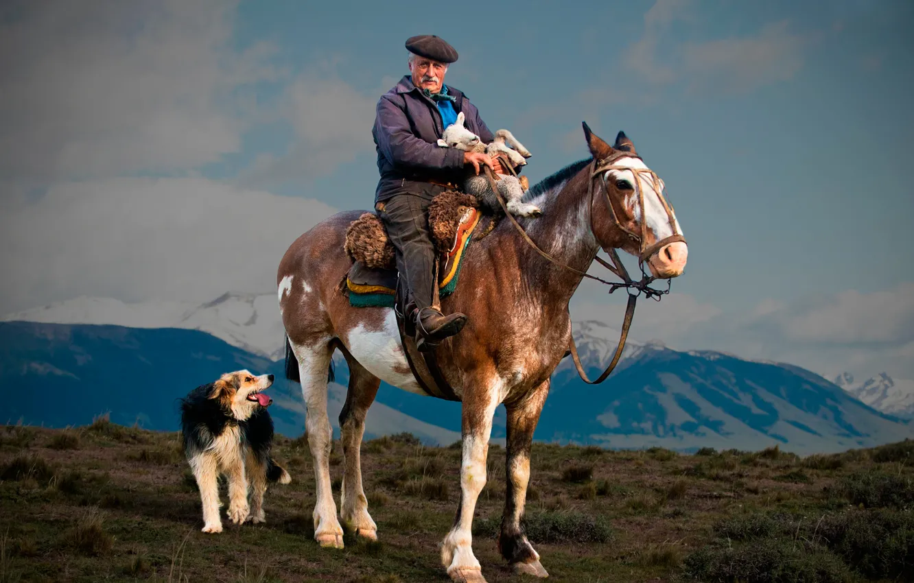 Фото обои лошадь, собака, пастух, ягнёнок