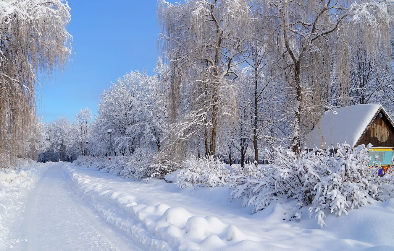 Фото обои зима, иней, дорога, небо, снег, деревья, дом, улица