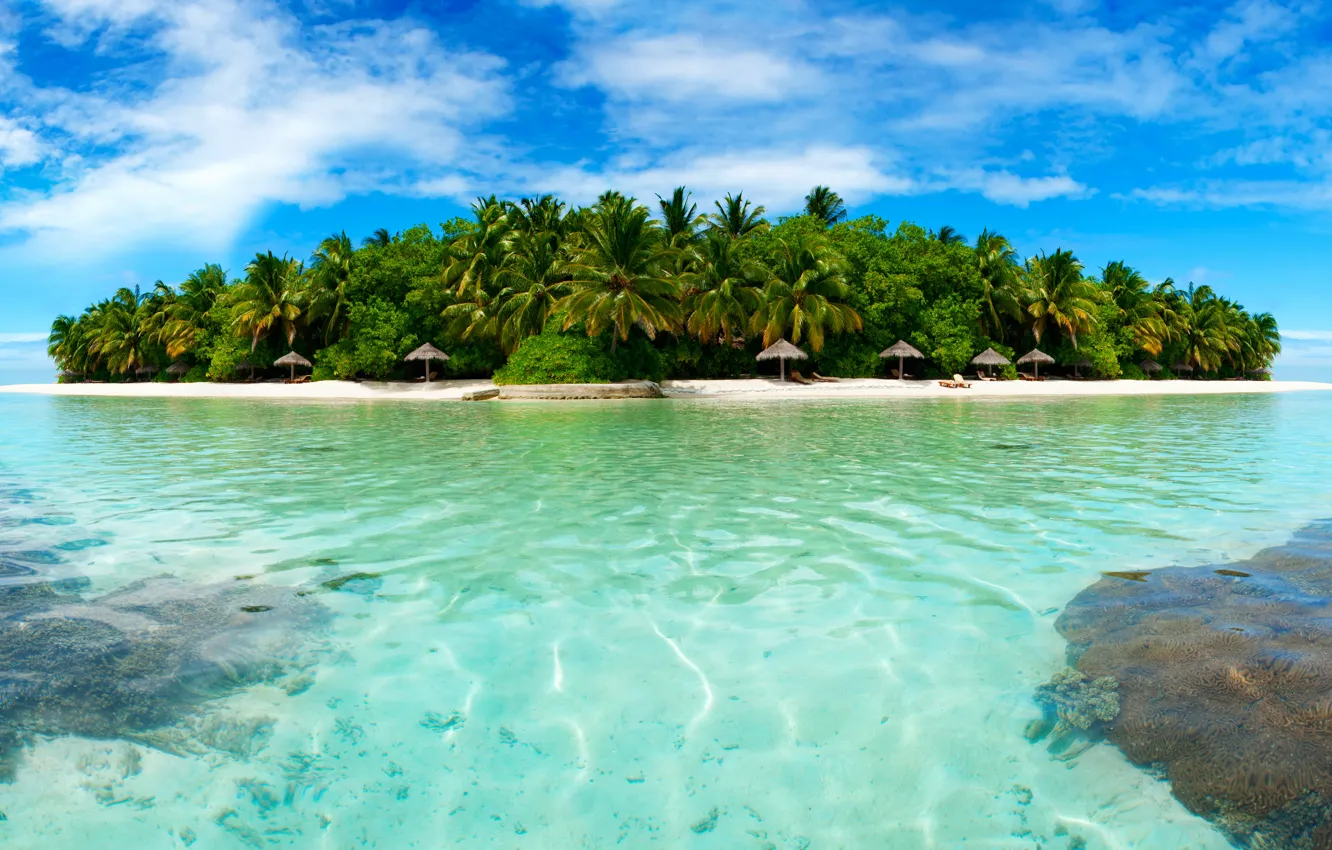 Фото обои пляж, деревья, тропики, пальмы, отдых, остров, Море