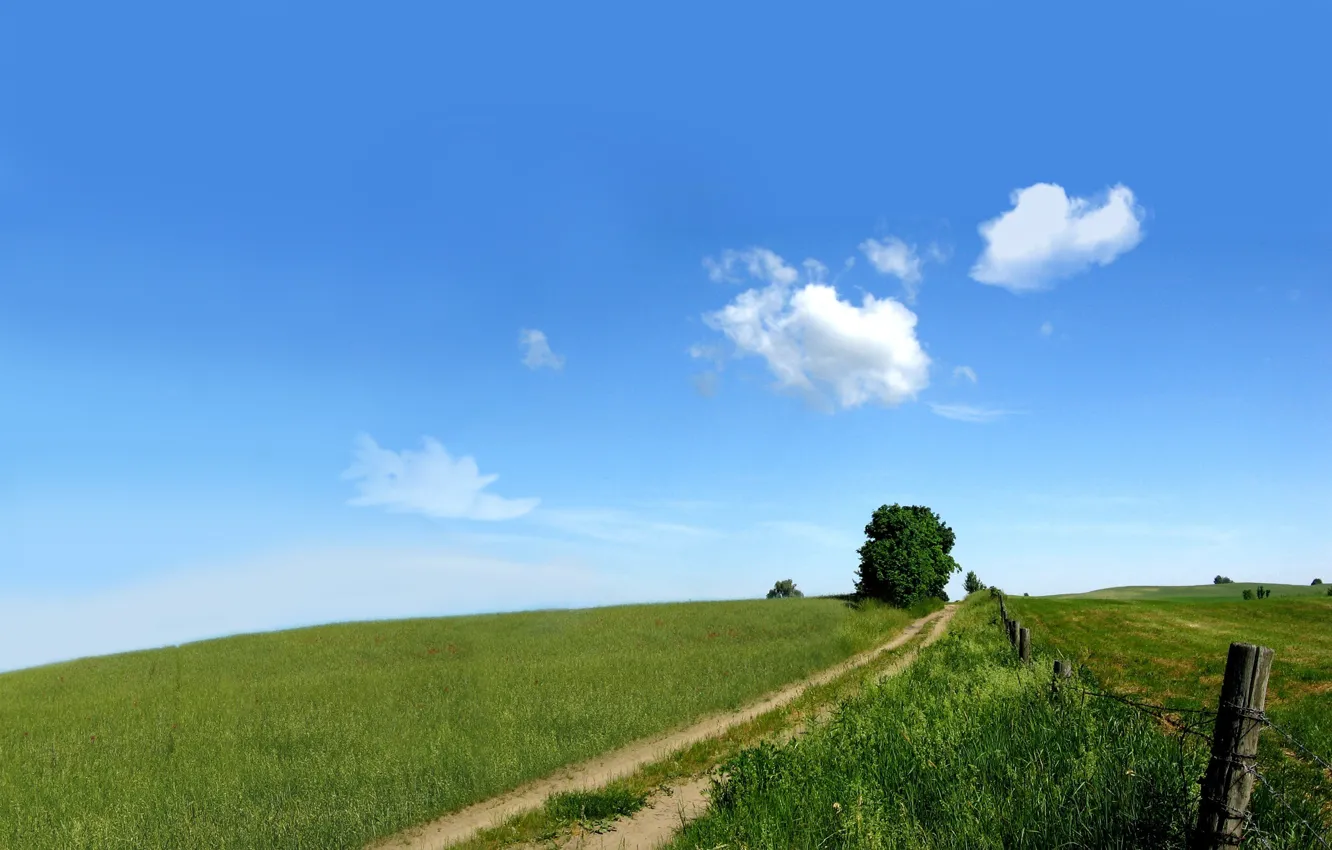 Фото обои дорога, зелень, поле, небо, природа