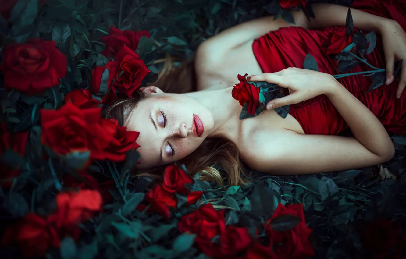 Фото обои цветы, настроение, сон, розы, макияж, веснушки, Ronny Garcia, спящая девушка