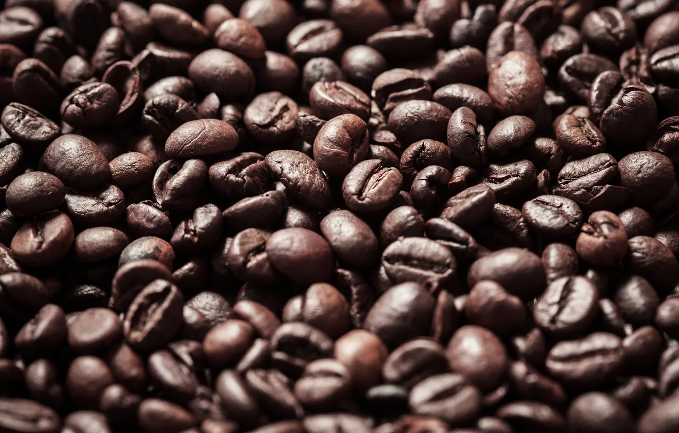 Фото обои beans, coffee, roasted