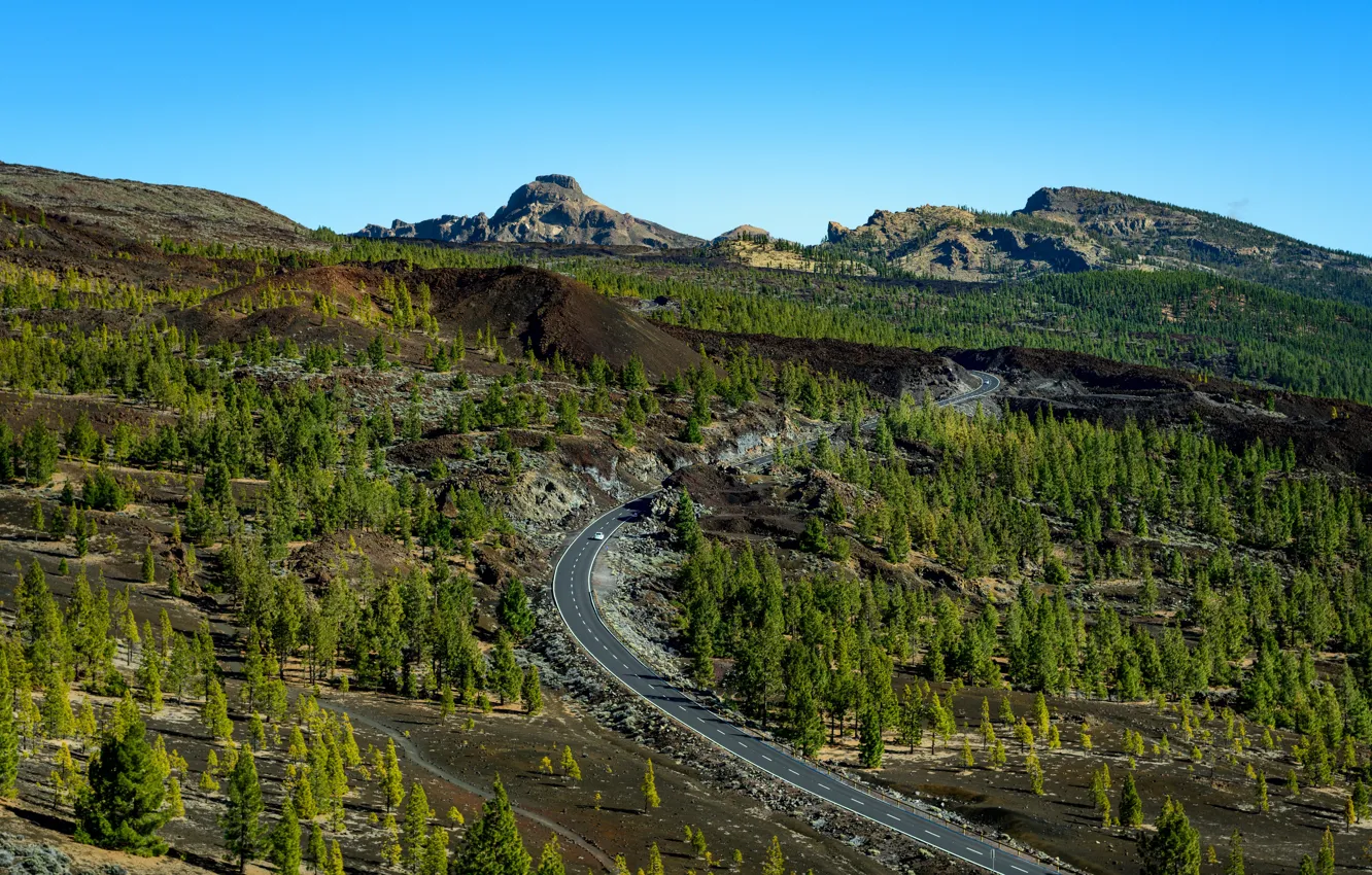Фото обои дорога, деревья, Испания, Канарские острова, Tenerife, Teide National Park
