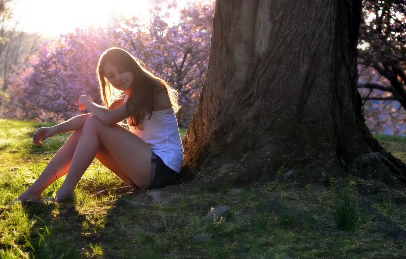 Фото обои Girl, grass, shorts, legs, trees, women, brunette, models