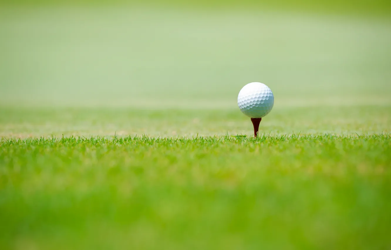 Фото обои спорт, green grass, Golf ball