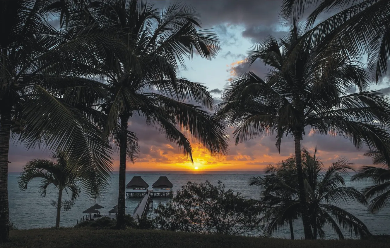 Фото обои Landscape, ocean, nature, night, beautiful, Zanzibar