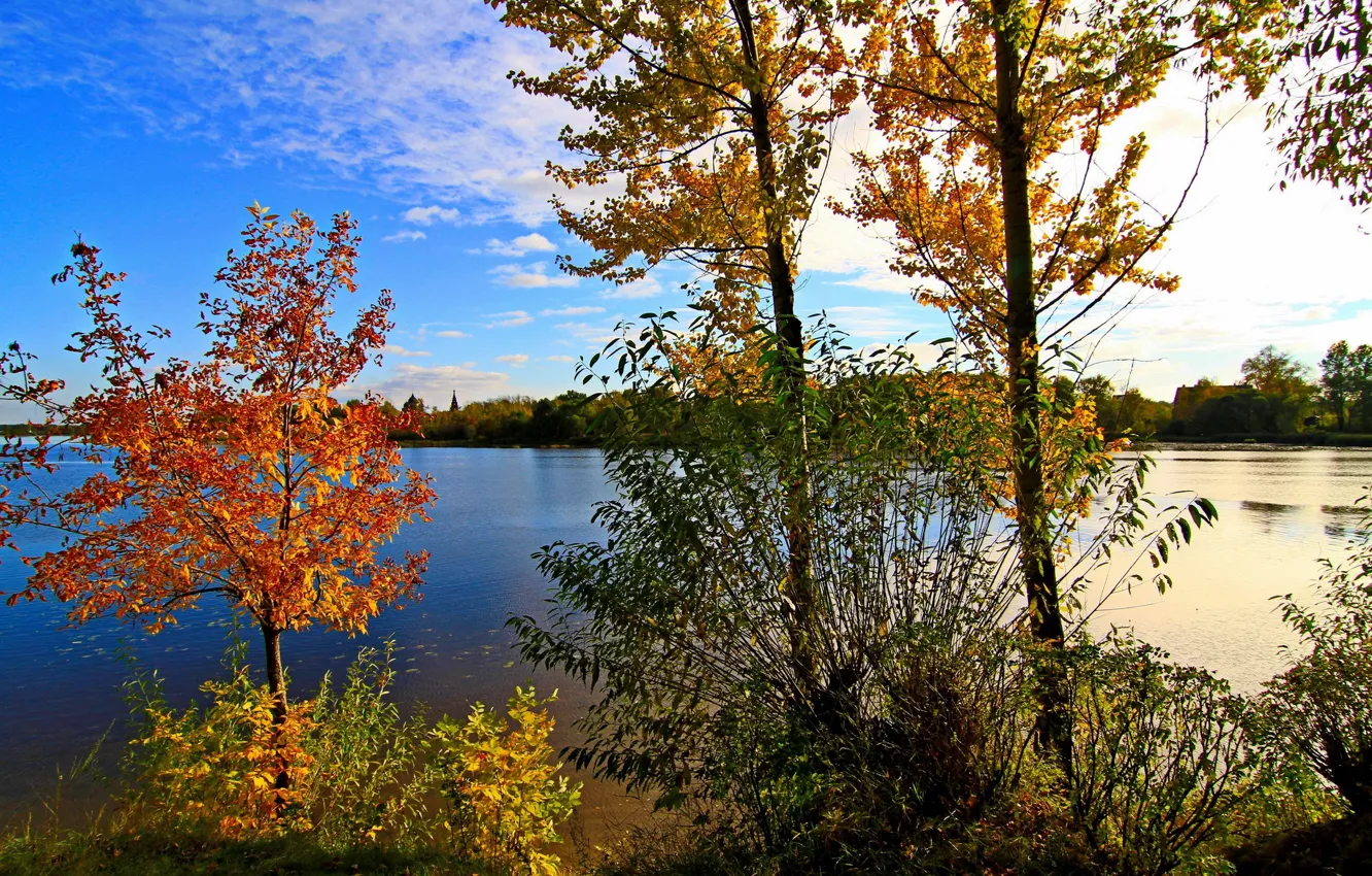 Фото обои небо, деревья, природа, река, Россия, облака., Ярославль