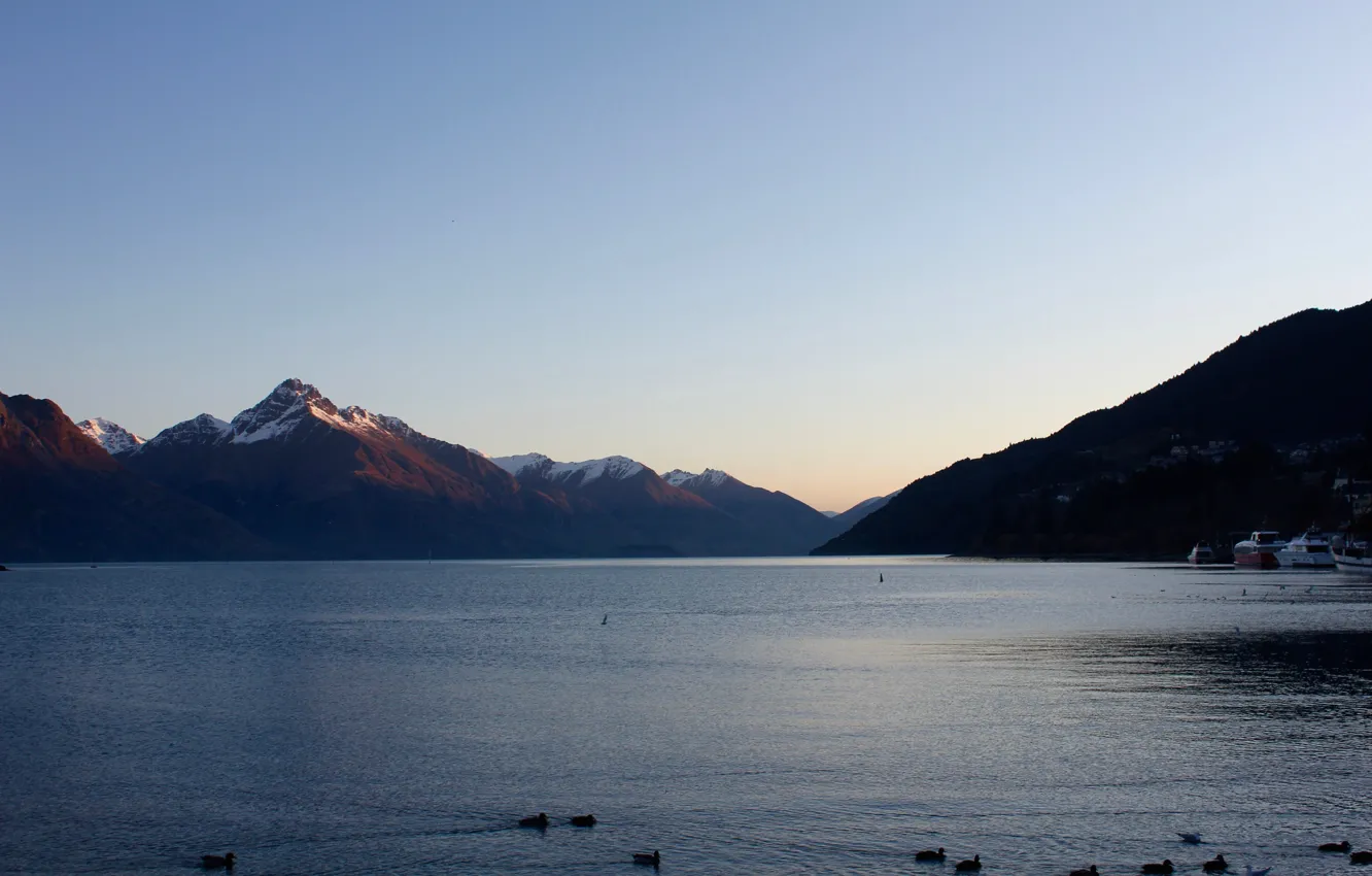Фото обои river, New Zealand, water, mountains, birds, Queenstown, hills, yachts
