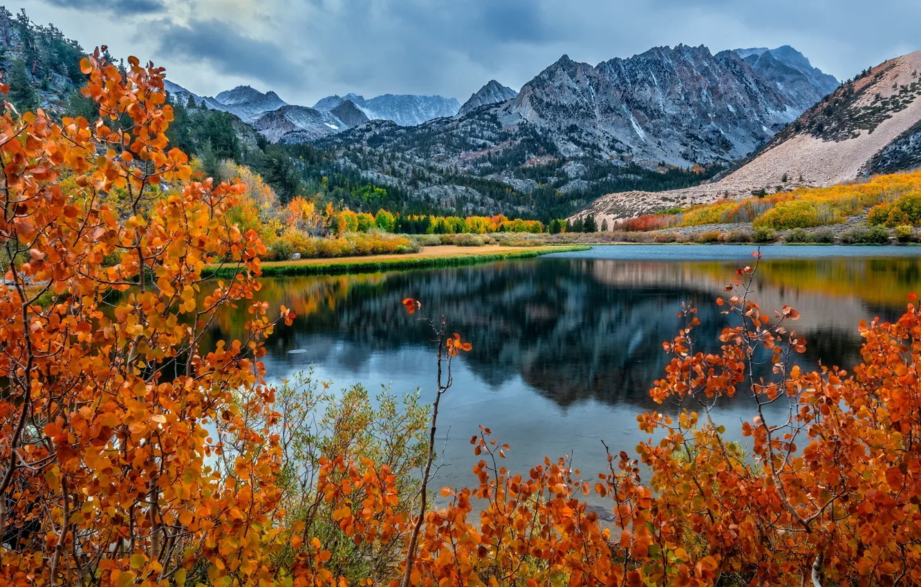 Фото обои осень, горы, берег, листва, водоем