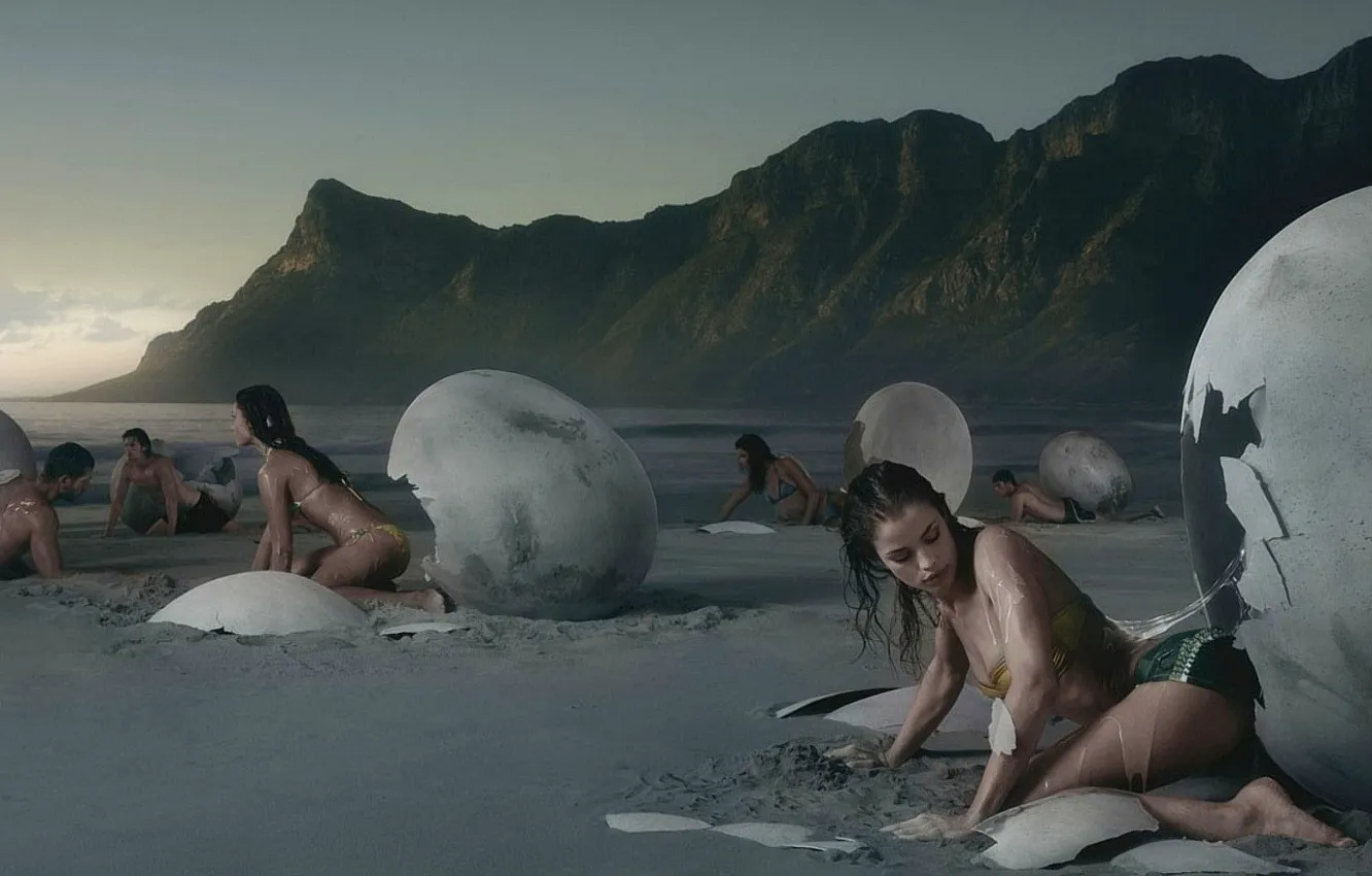 Фото обои берег, человек, яйца