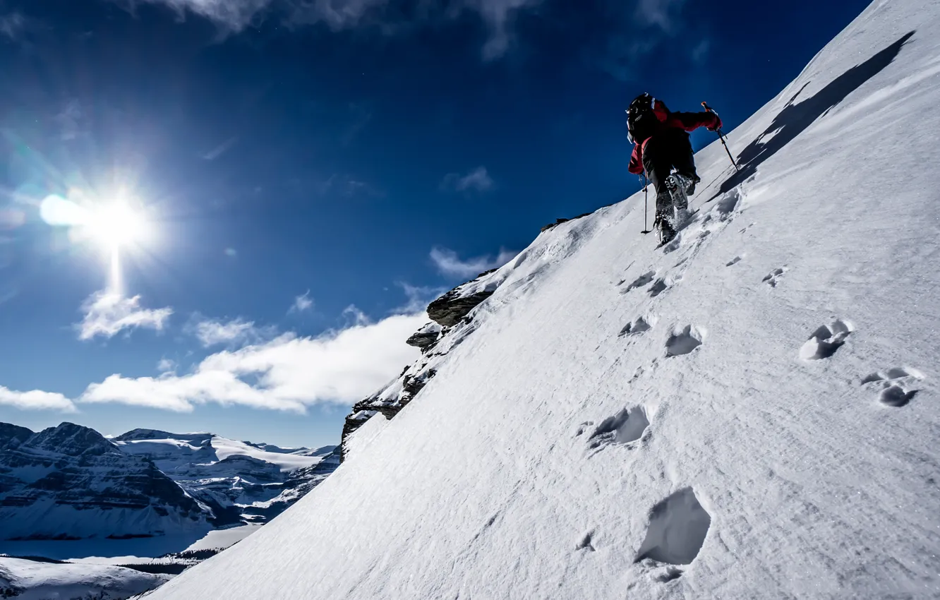 Фото обои солнце, снег, горы, следы, лыжи, Канада