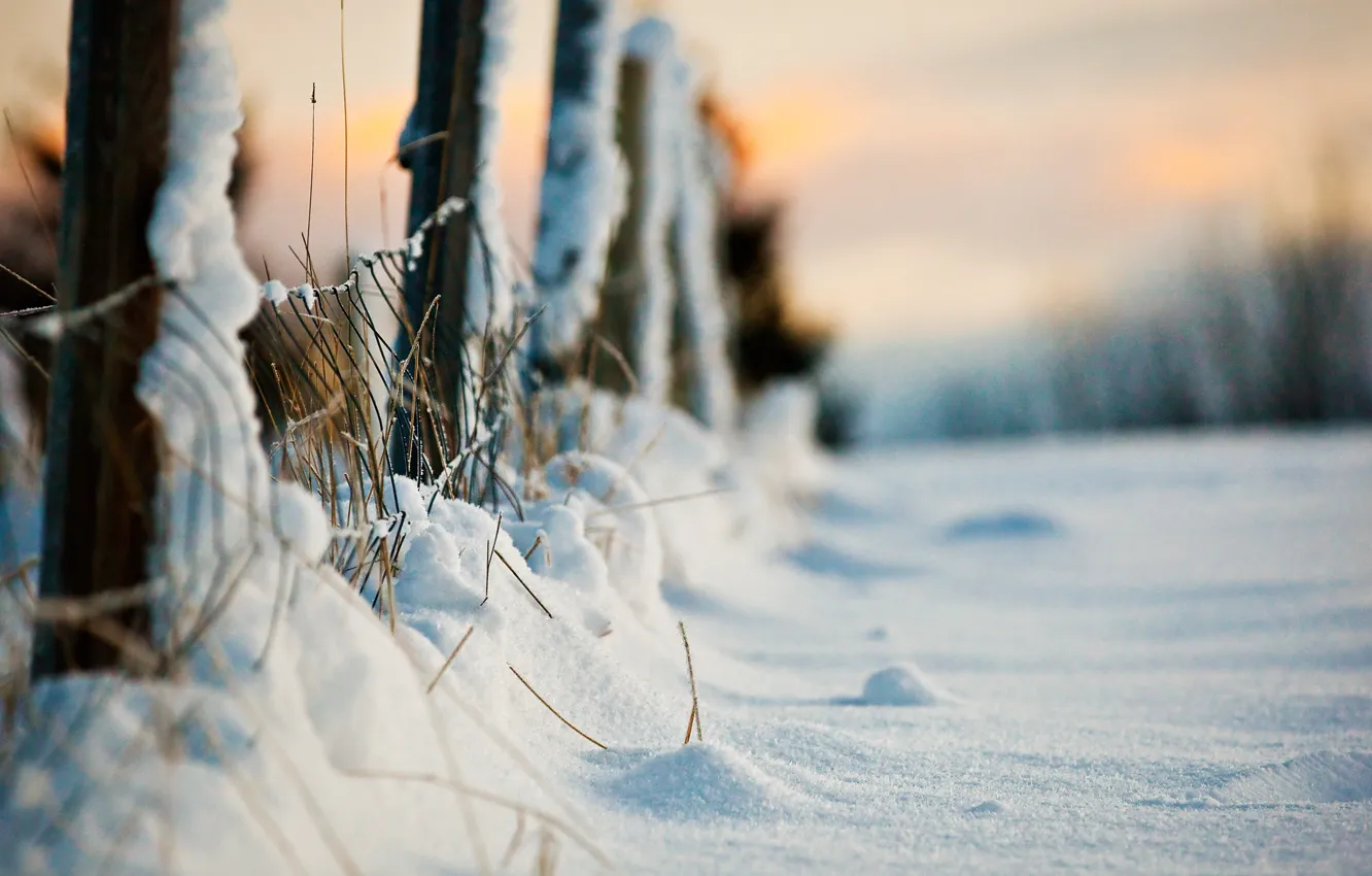Фото обои зима, макро, снег, забор, вечер