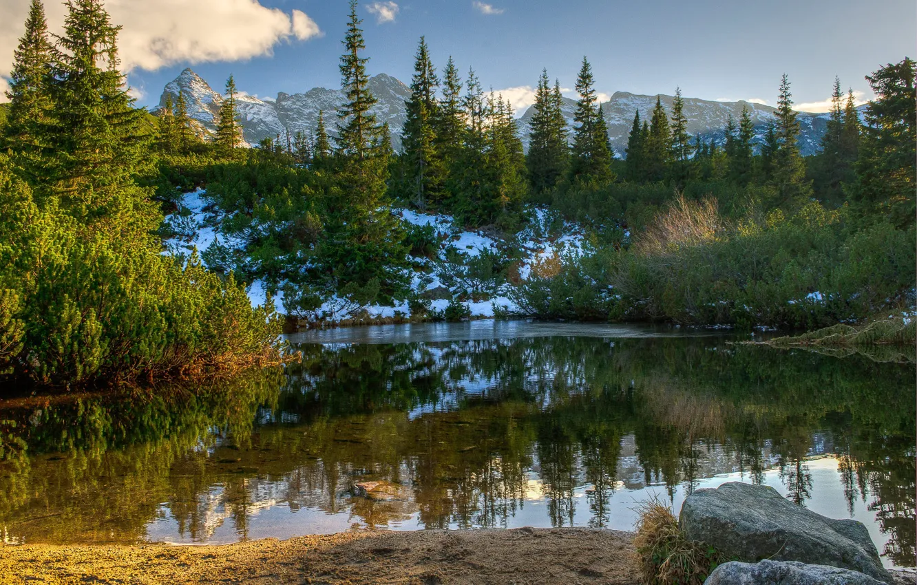 Фото обои снег, деревья, пейзаж, горы, природа, пруд, камни, ели