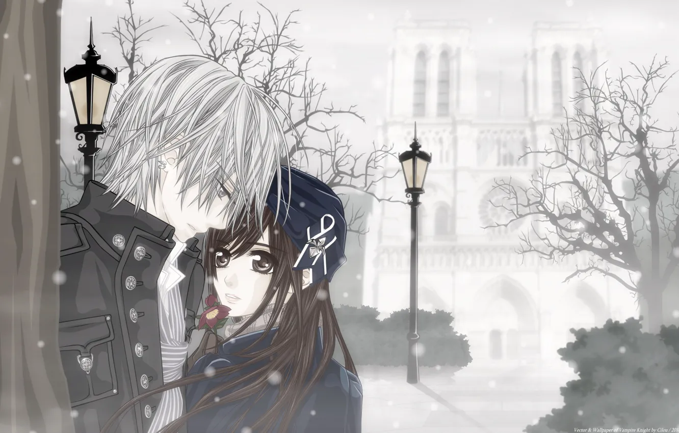 Фото обои зима, девушка, снег, цветы, аниме, вампир, парень, двое