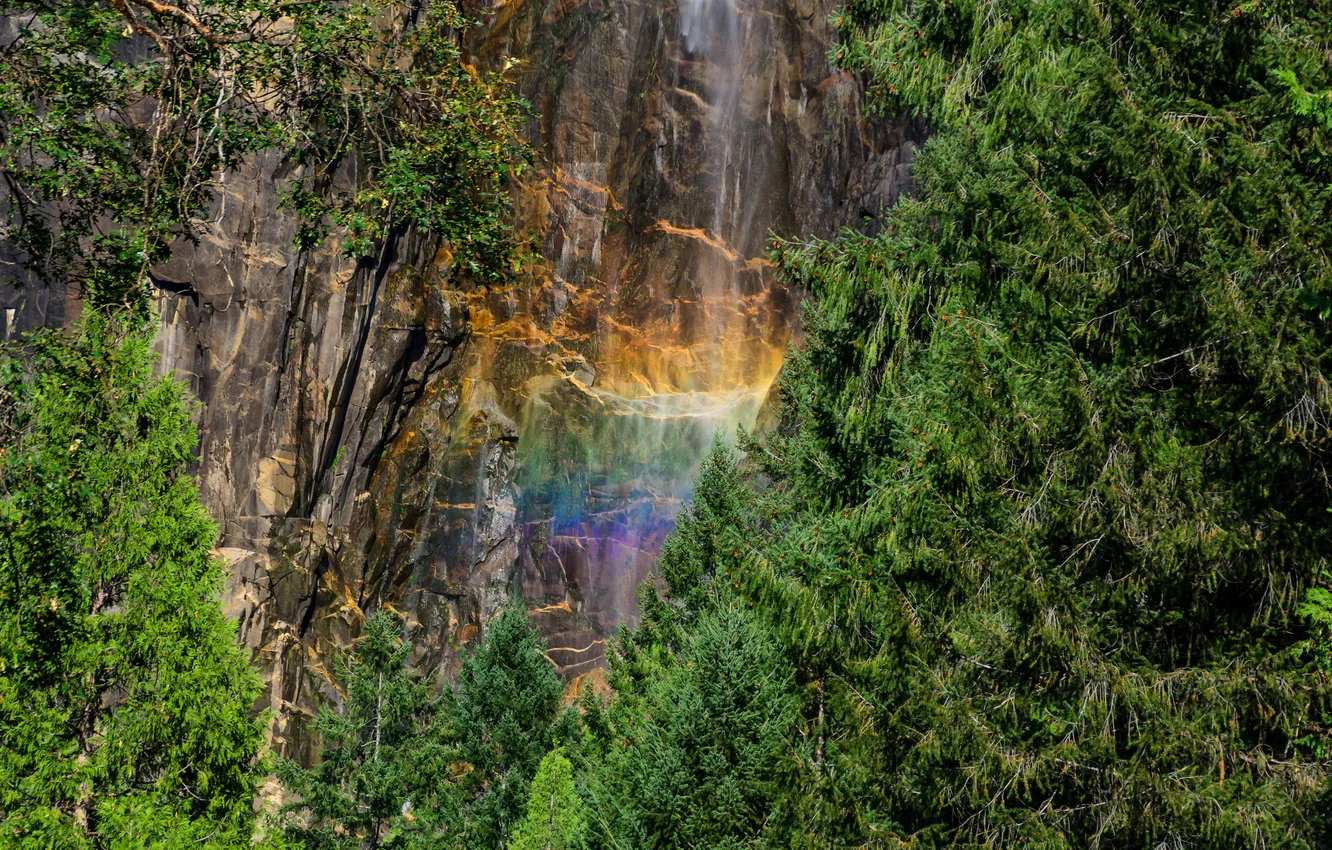 Фото обои лес, природа, скала, водопад, радуга, Yosemite National Park