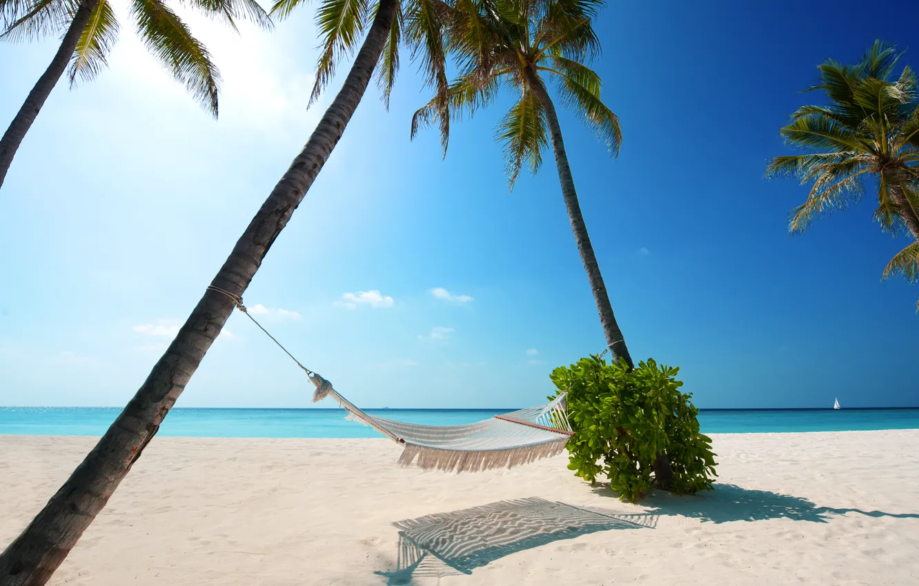 Фото обои beaches, boat, white sand, green plant, Palm trees, Hammock