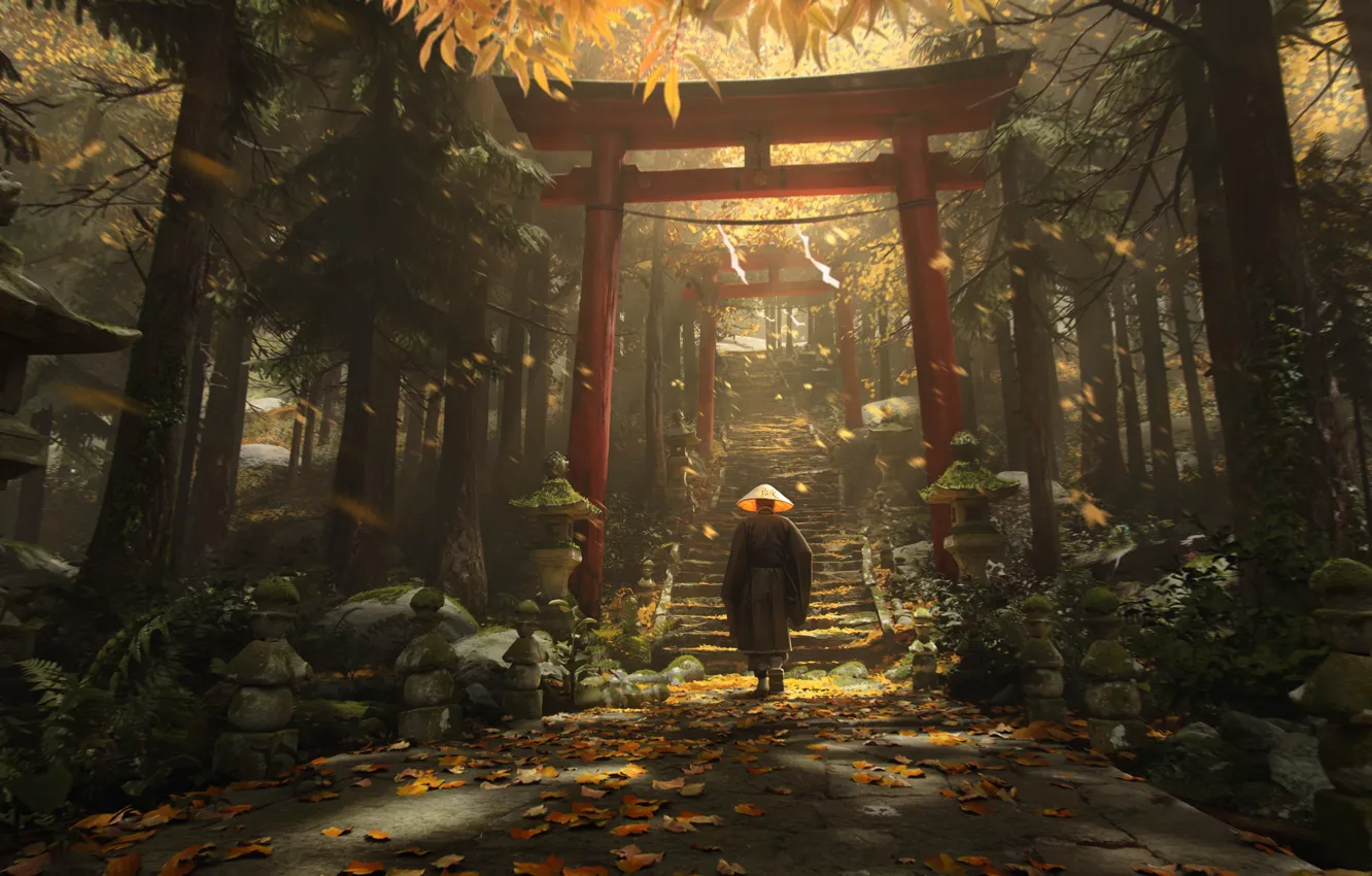 Фото обои монах, ступени, Japan, листопад, солнечный день, в лесу, жрец, дорога в даль