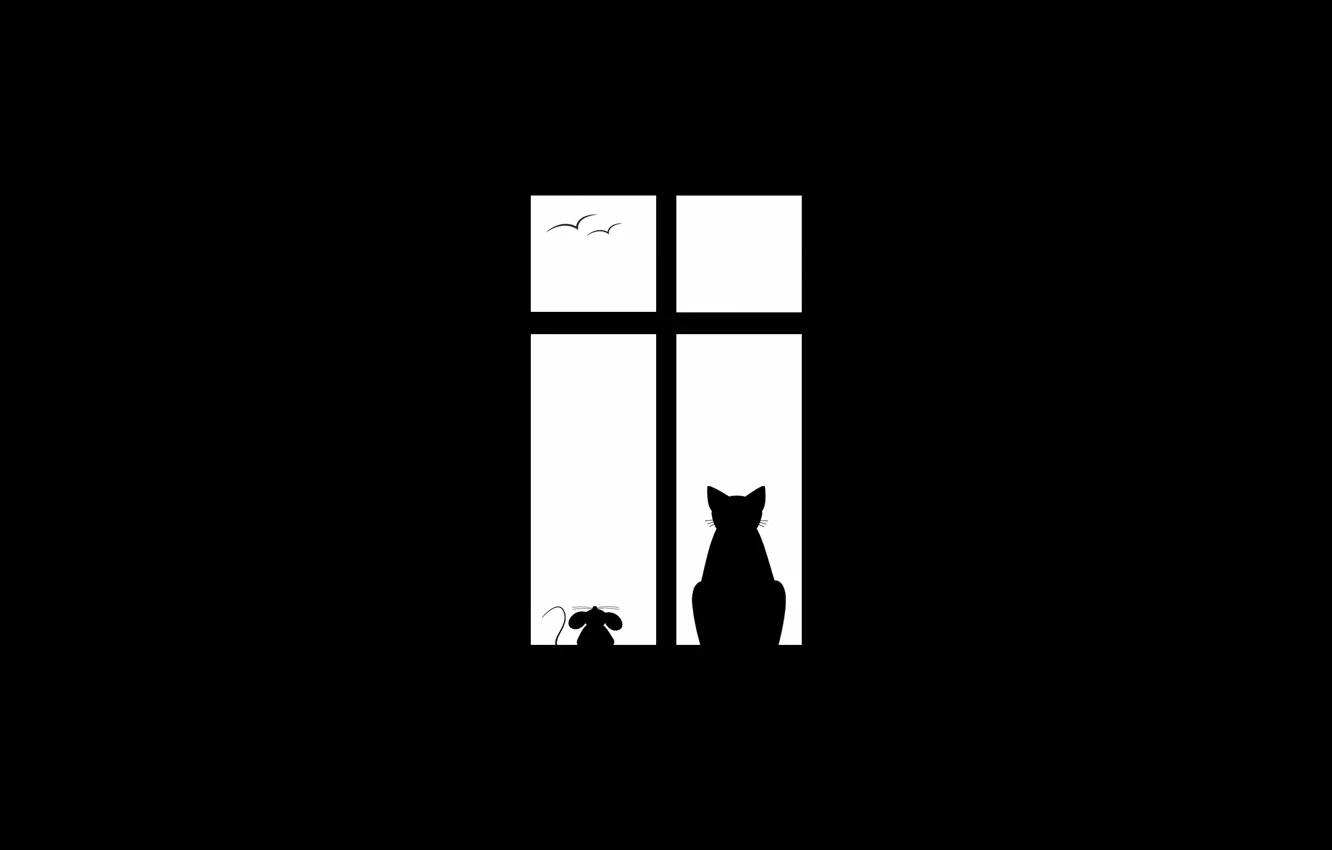 Фото обои кот, птицы, минимализм, мышь, окно, друзья, Friendship