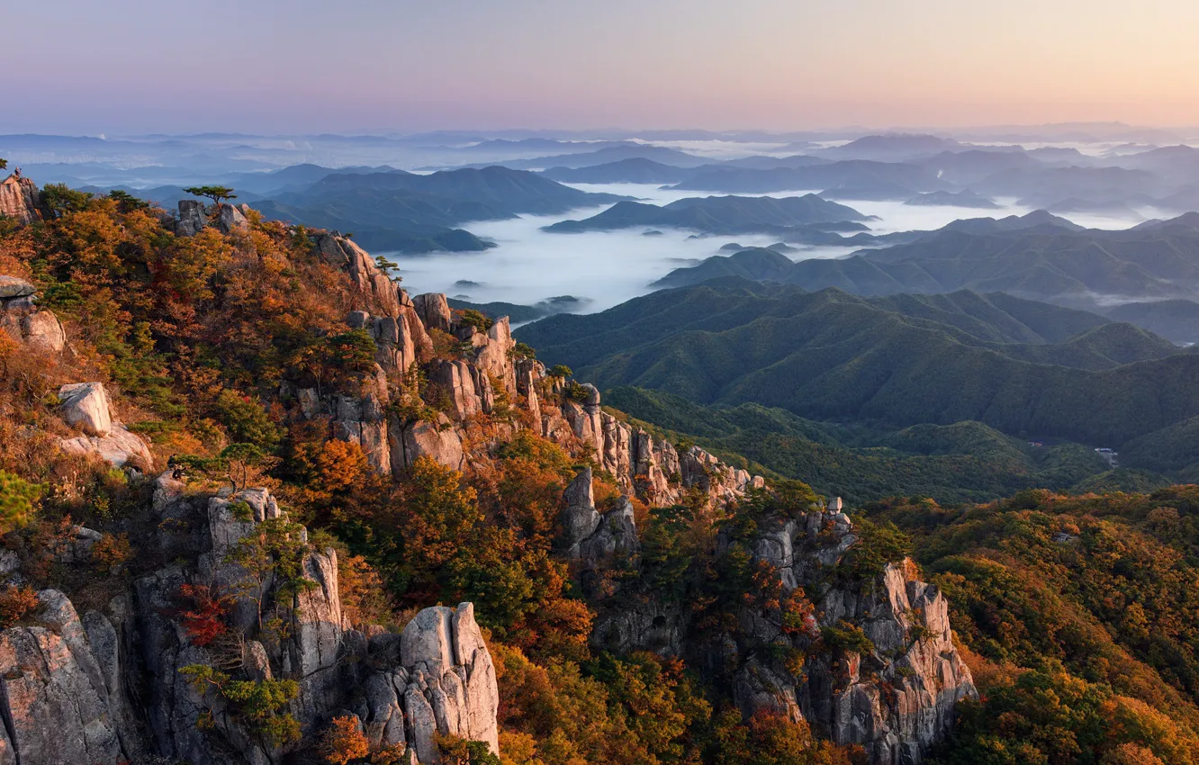 Фото обои forest, landscape, South Korea, rocks, fog, hills, Daejeon, Nathaniel Merz