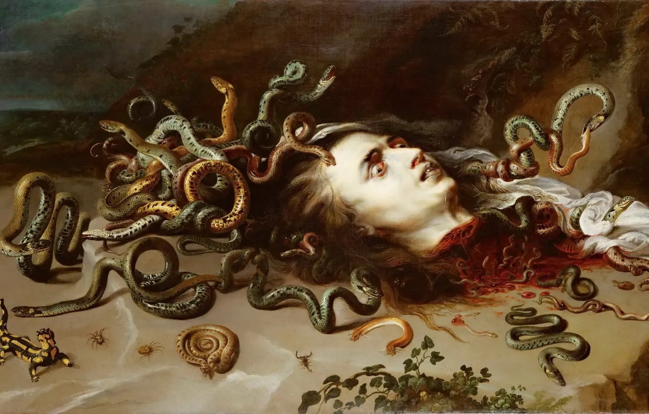 Фото обои медуза, картина, Питер Пауль Рубенс, The Head of Medusa, Peter Paul Rubens