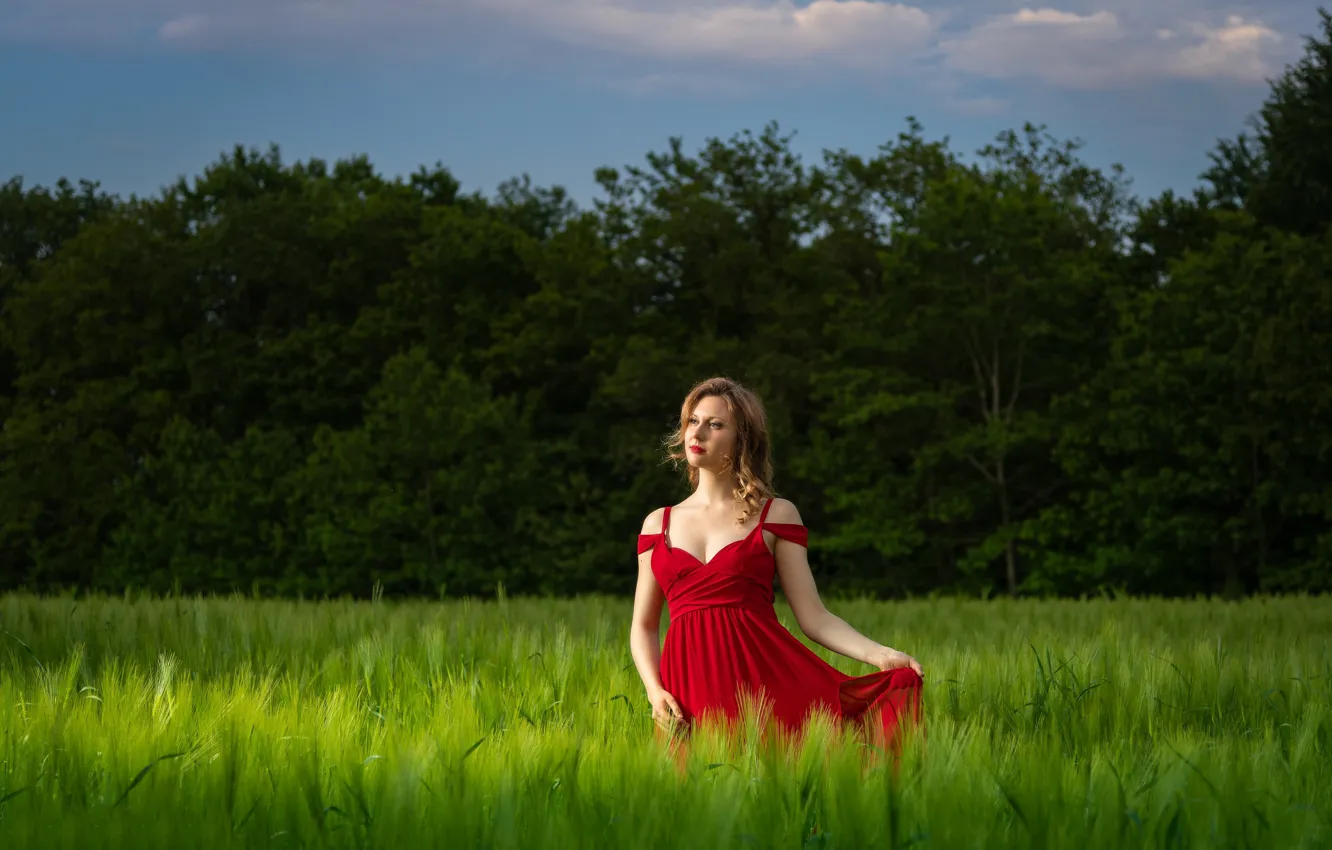 Фото обои поле, девушка, поза, платье, колоски, Marilyne