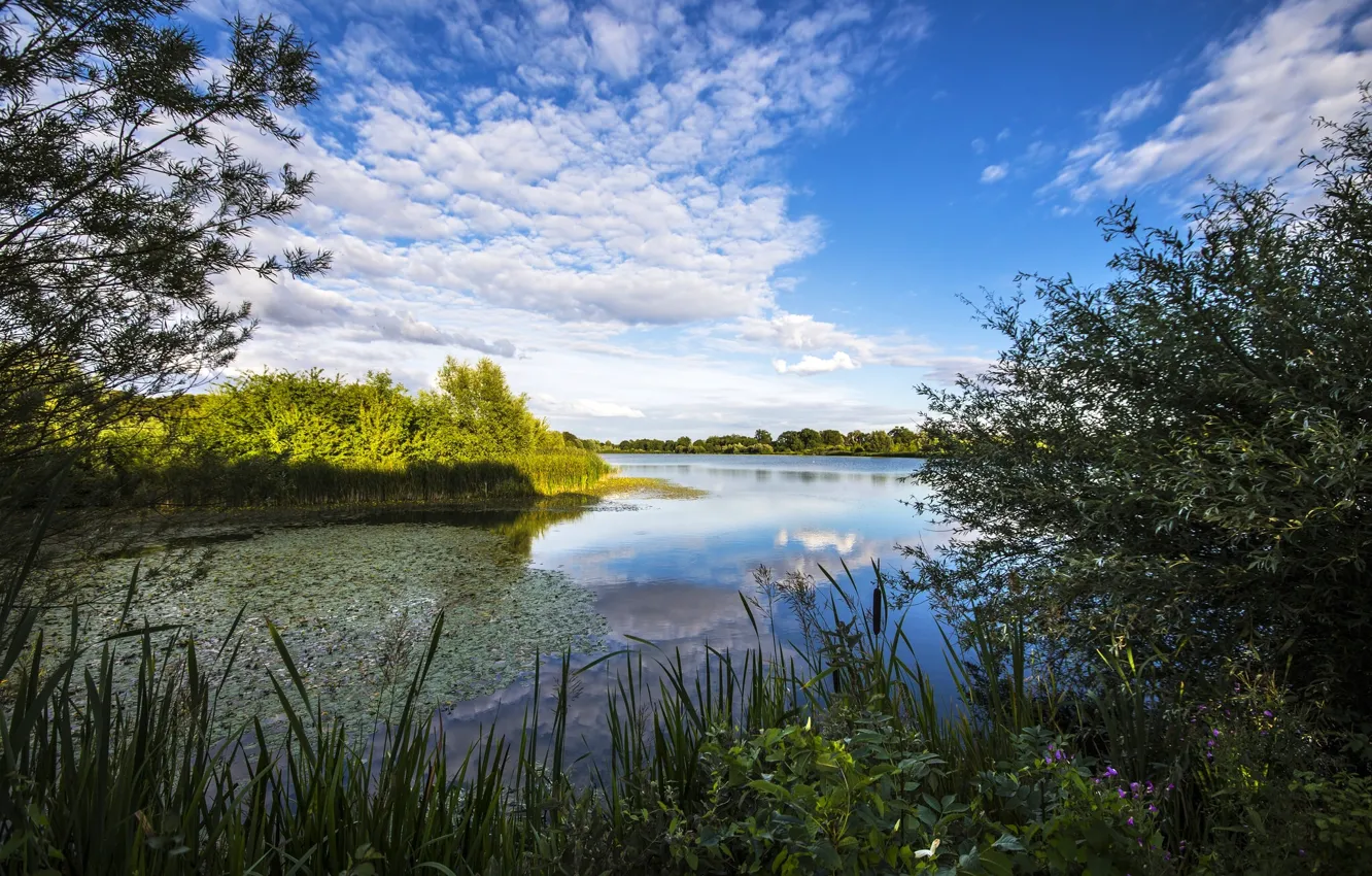 Фото обои небо, облака, река, растительность, Англия, England, River Great Ouse, Кембриджшир