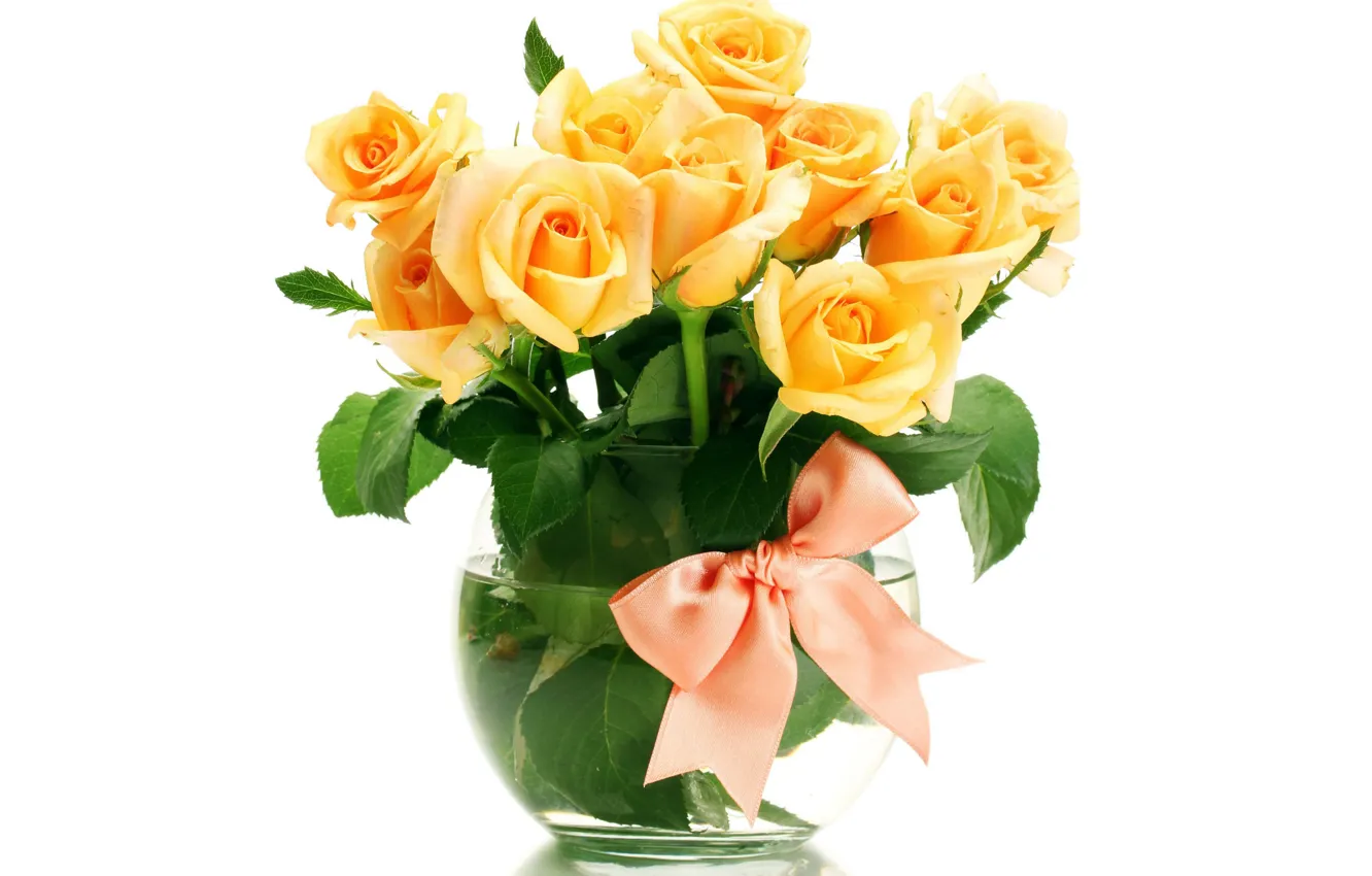 Фото обои цветы, розы, букет, ваза, оранжевые, бант, белый фон